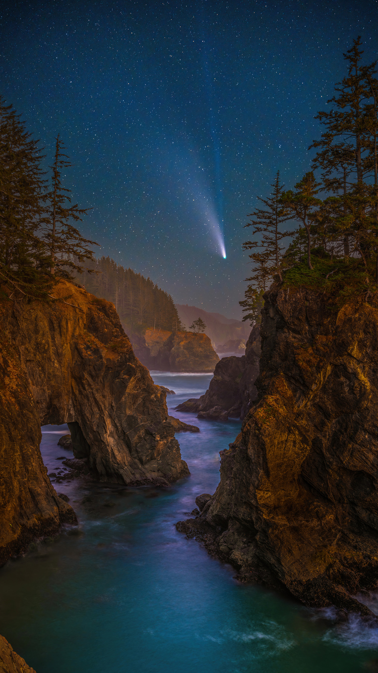 coast-stars-scenery-oregon-night-trees-5k-4k.jpg