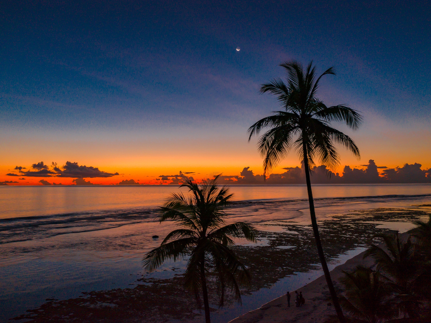 1400x1050 Coconut Trees 4k 1400x1050 Resolution HD 4k Wallpapers ...