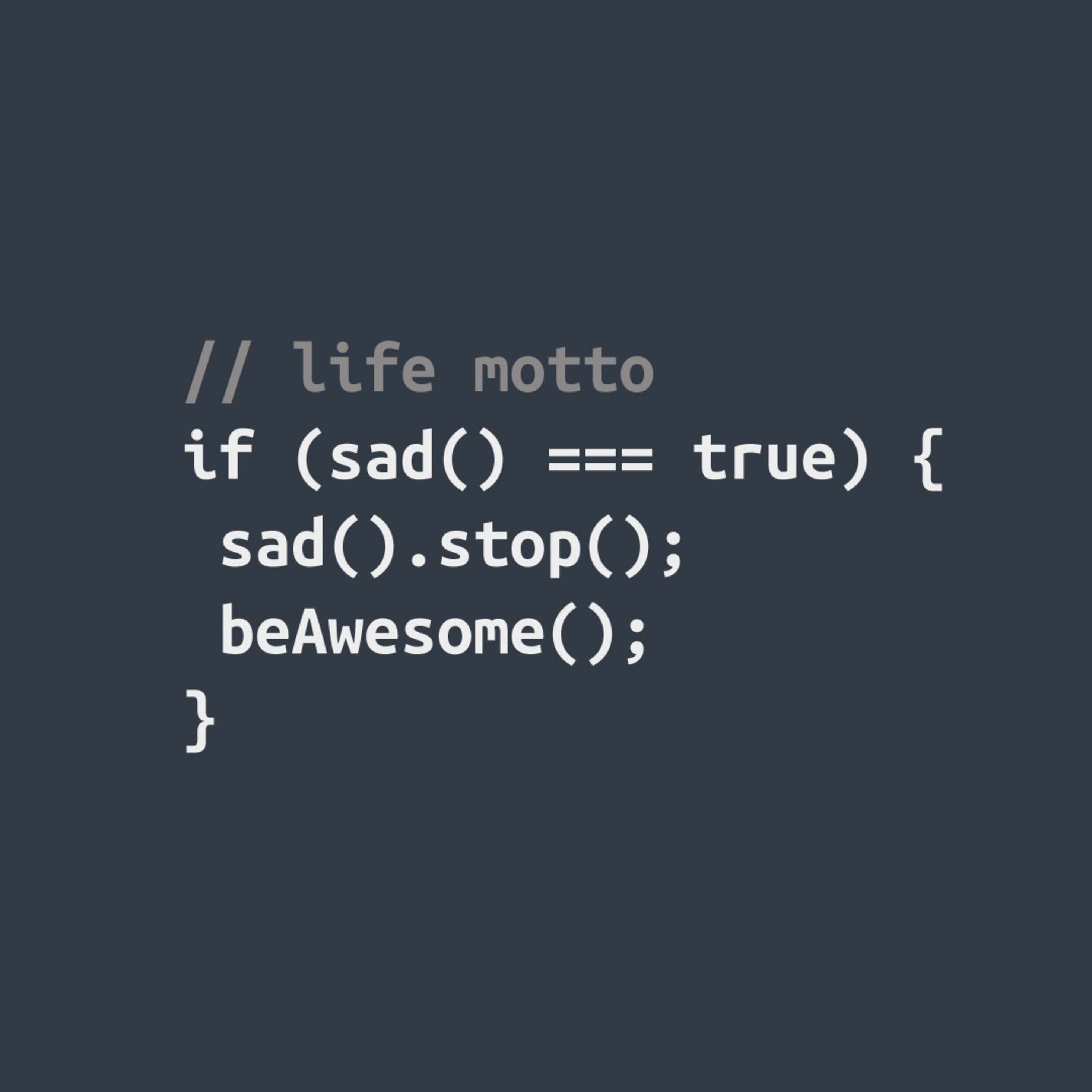 Fun code. Мотивация для программиста. Мотивирующие картинки для программистов. Программирование Минимализм. Life Motto.