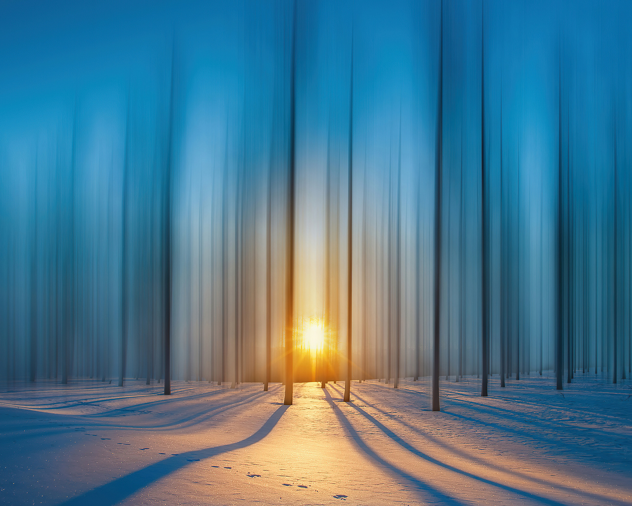 cold-snow-trees-4k-bg.jpg