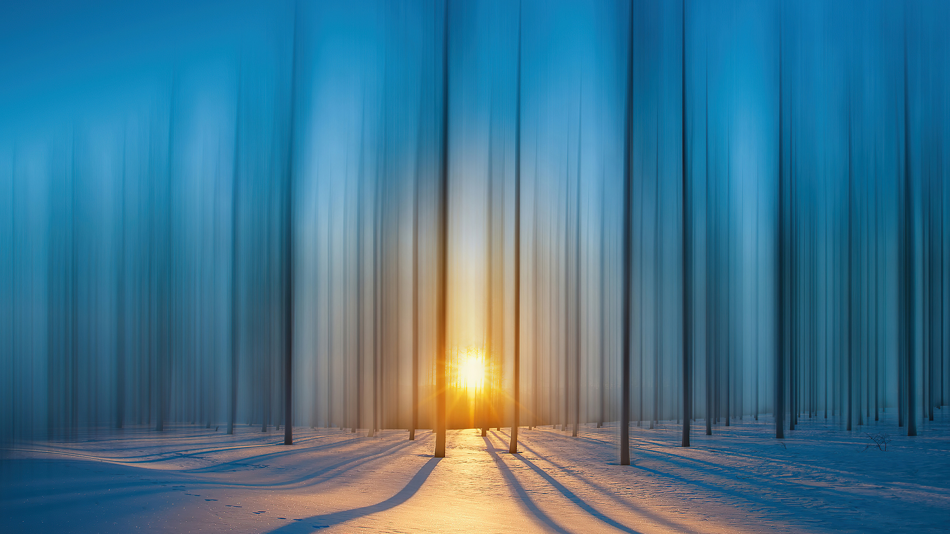 cold-snow-trees-4k-bg.jpg