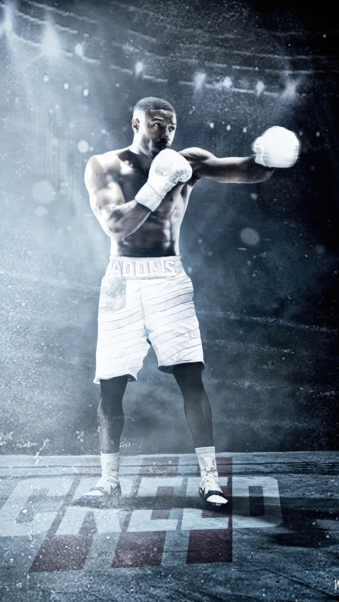 30+ Adonis Creed HD Wallpapers and Backgrounds
