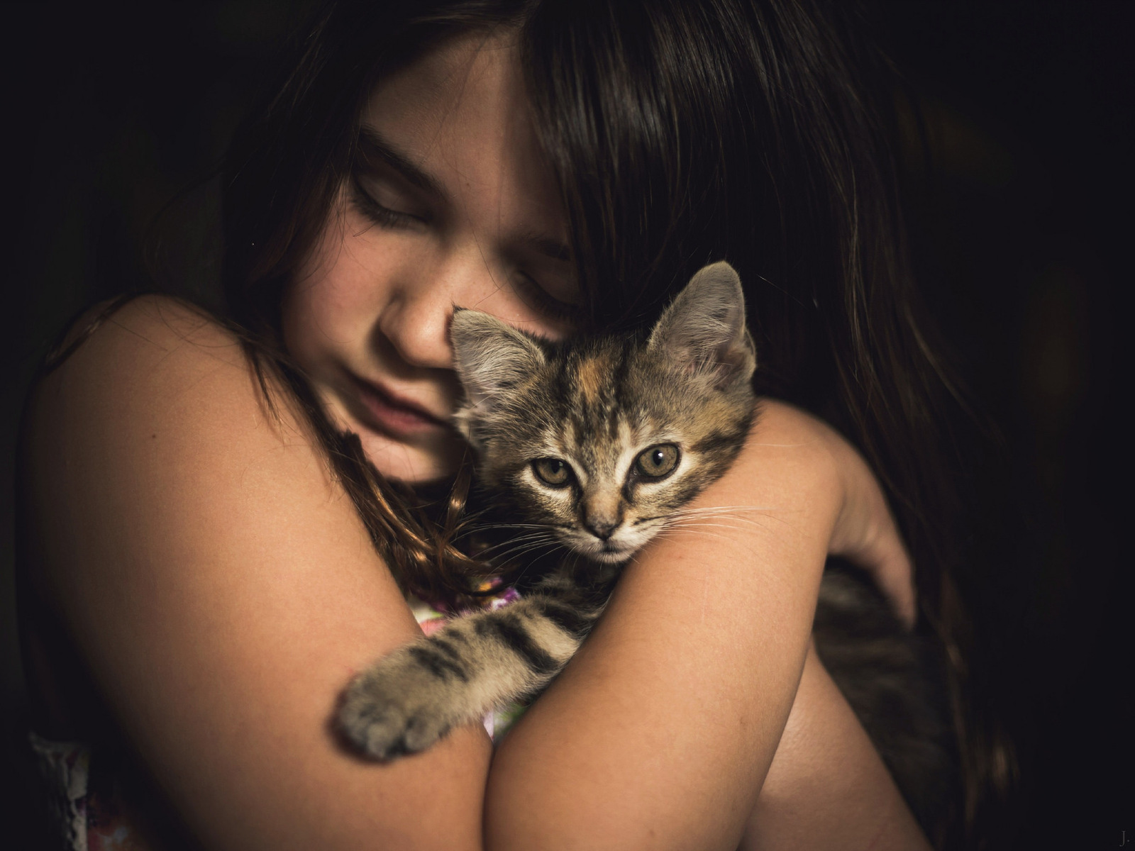 Cute Little Girl With Kitten Wallpaper In 1600x1200 Resolution