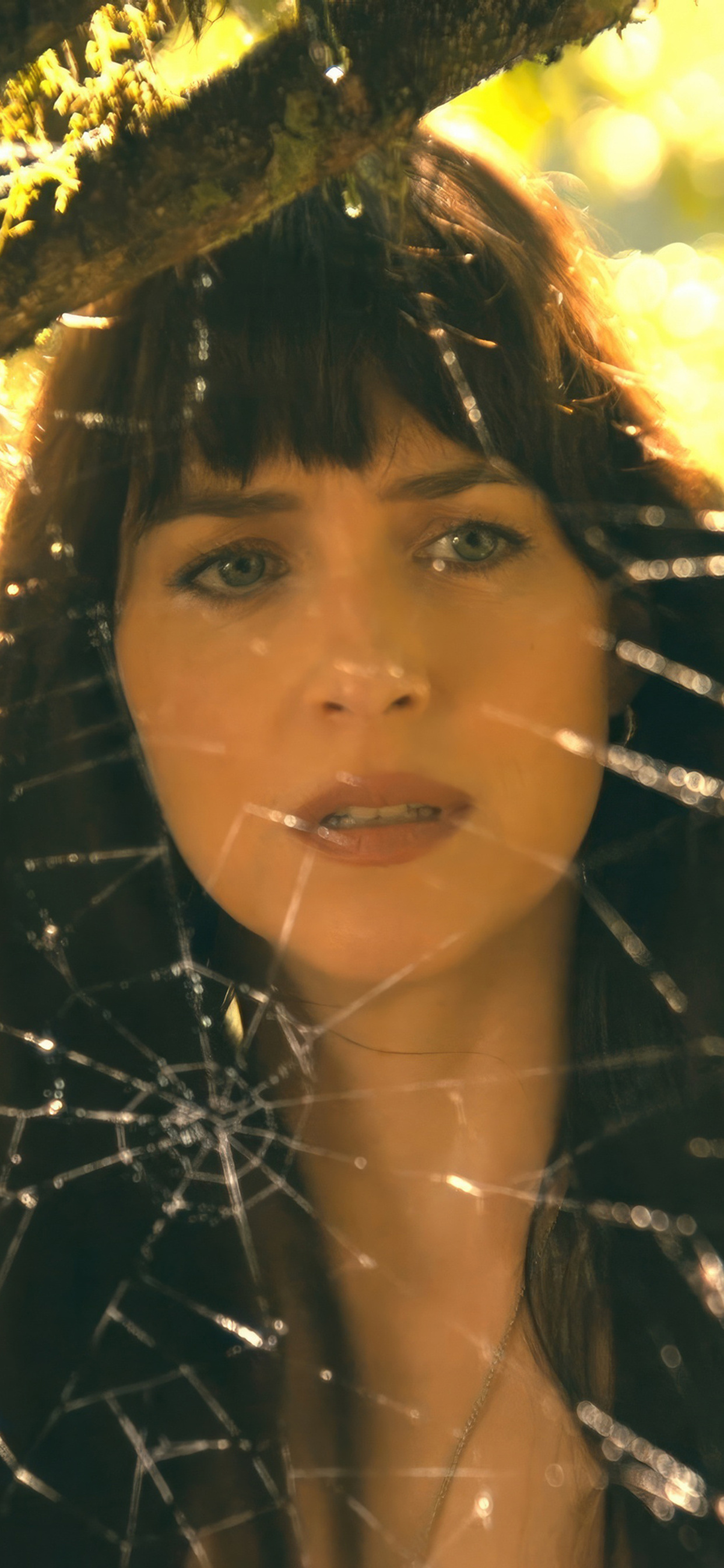 1242x2688 Dakota Johnson In Madame Web Movie 2024 Iphone XS MAX HD 4k