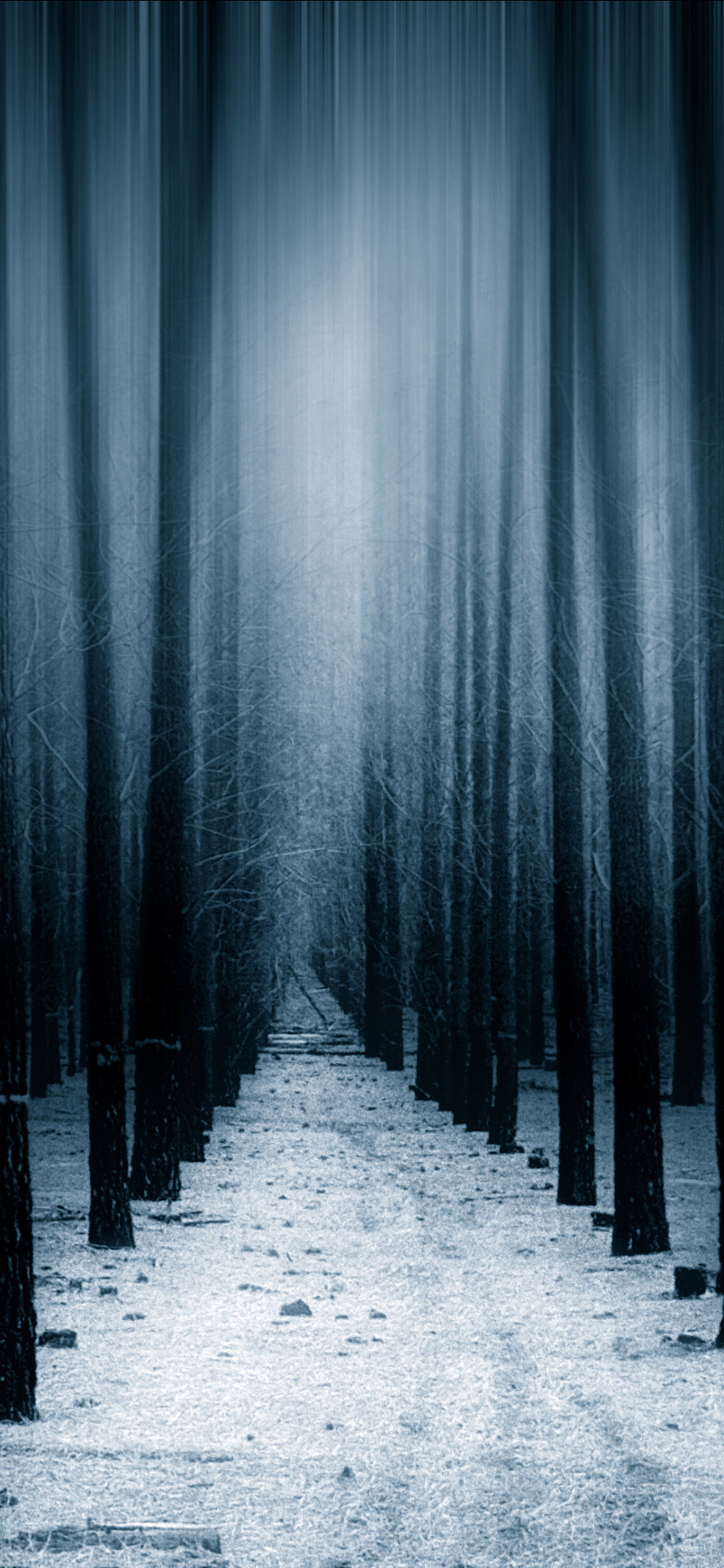 1125x2436 Dark Forest Woods Snow Winter 8k Iphone XS,Iphone 10,Iphone X HD  4k Wallpapers, Images, Backgrounds, Photos and Pictures