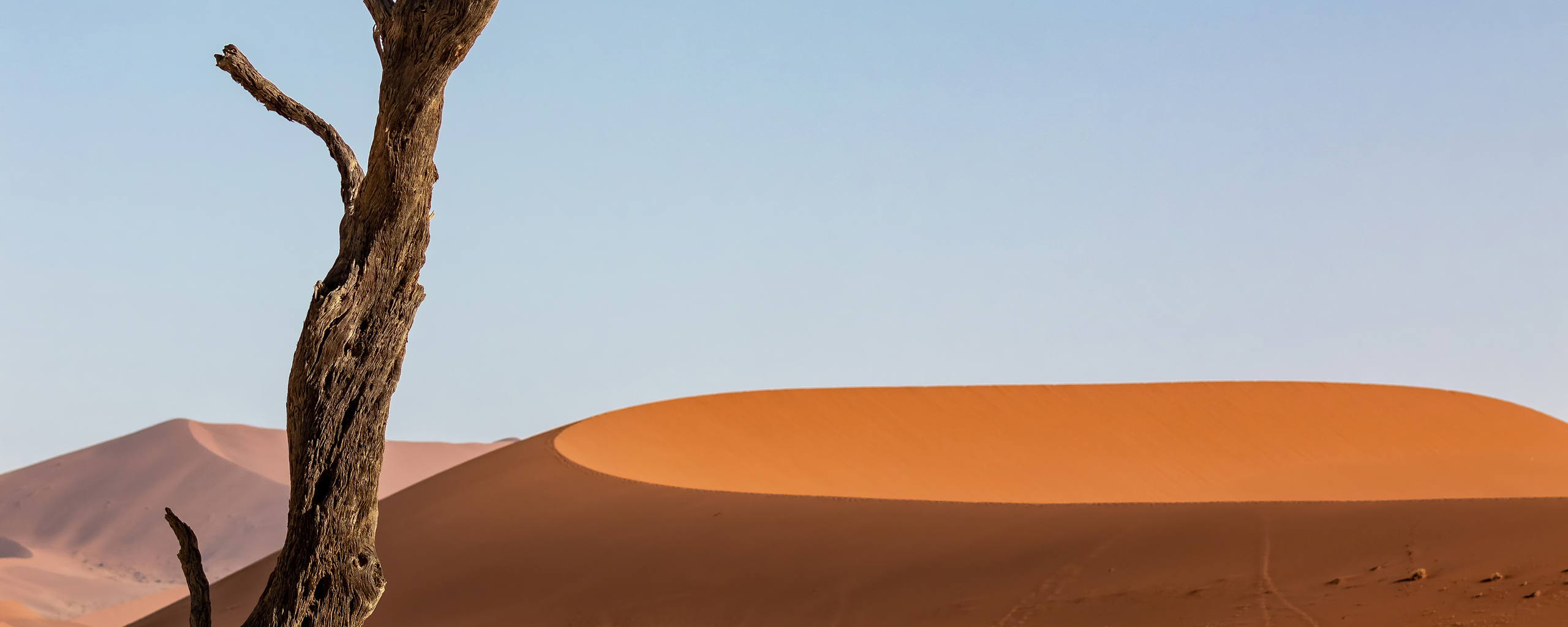 desert-sand-dune-dunes-5k-8h.jpg