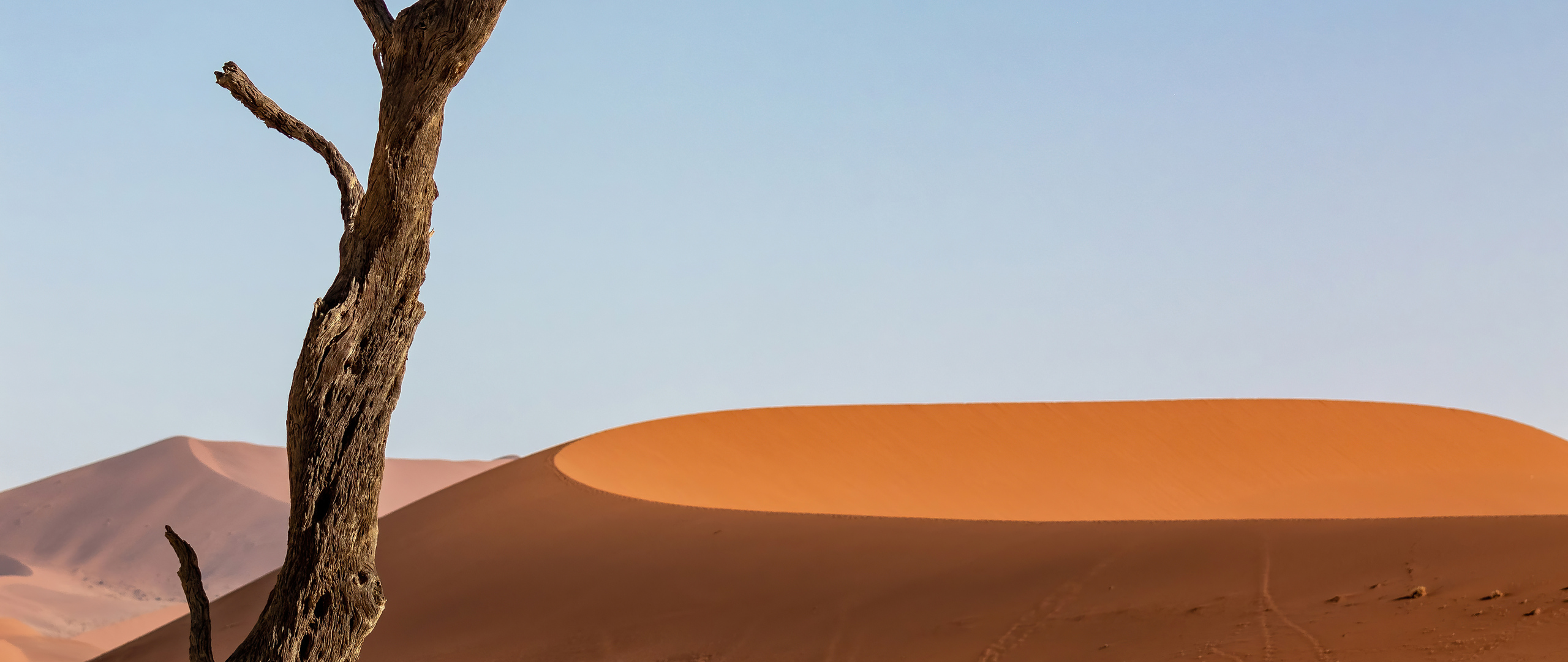 desert-sand-dune-dunes-5k-8h.jpg