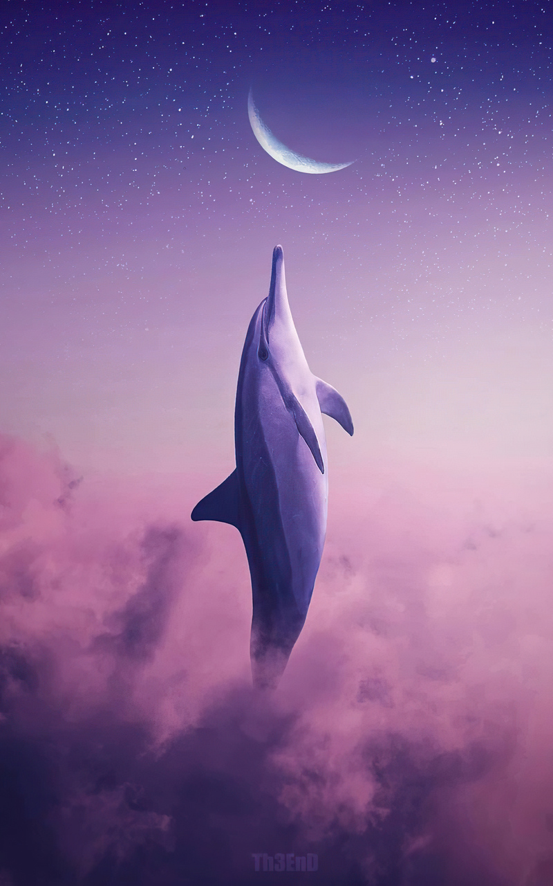 800x1280 Dolphin Touching Moon 4k Nexus 7,Samsung Galaxy Tab 10,Note  Android Tablets HD 4k Wallpapers, Images, Backgrounds, Photos and Pictures