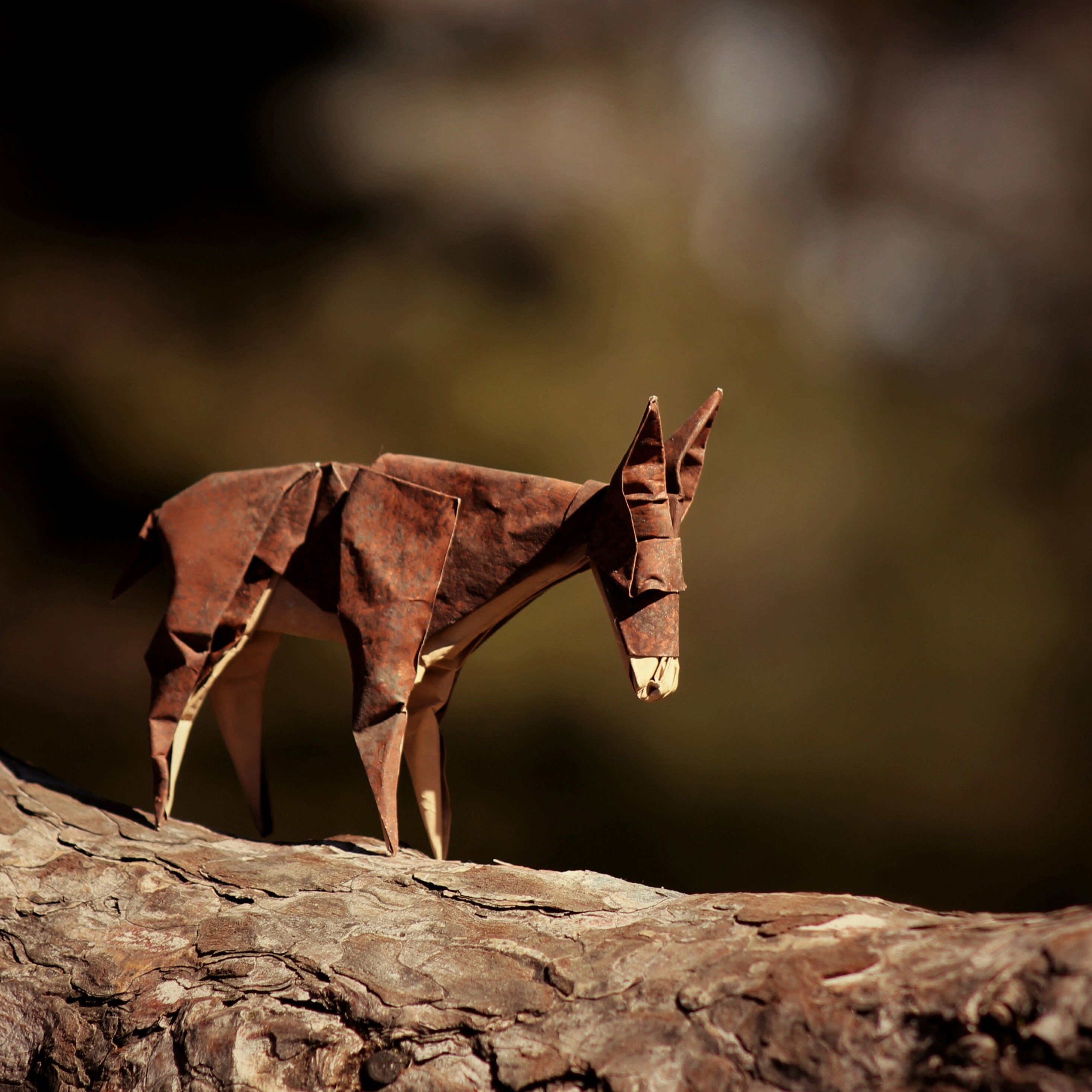 2932x2932 Donkey Origami Ipad Pro Retina Display HD 4k Wallpapers, Images,  Backgrounds, Photos and Pictures