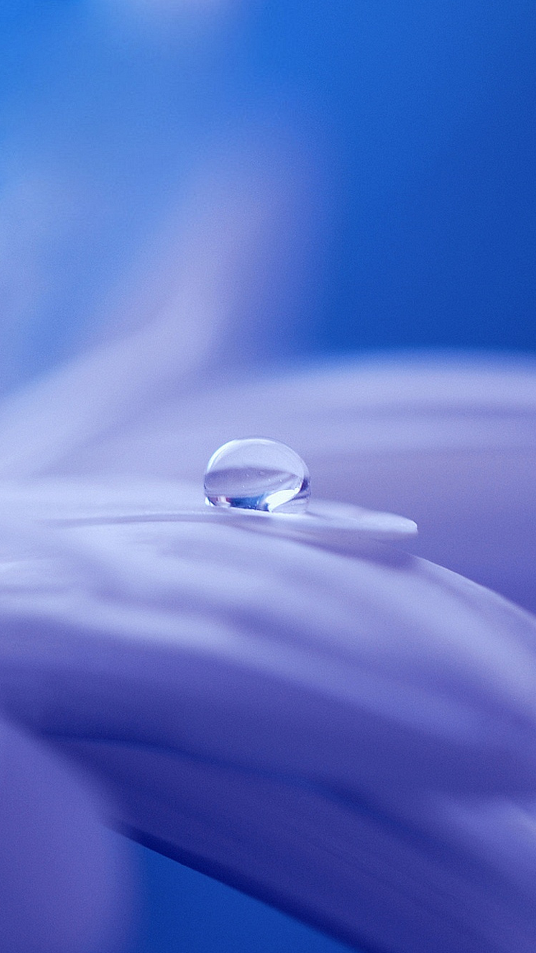 2160x3840 Drop Of Water On Flower Sony Xperia X,XZ,Z5 Premium HD 4k