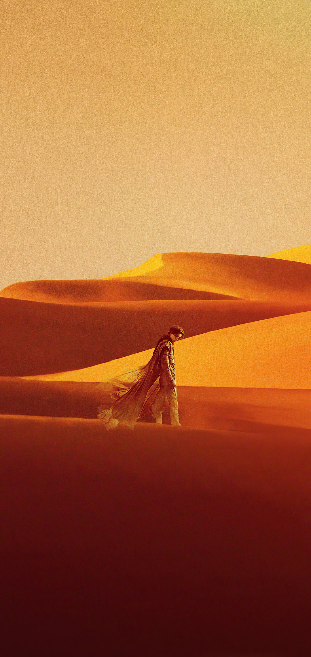 dune-1d.jpg