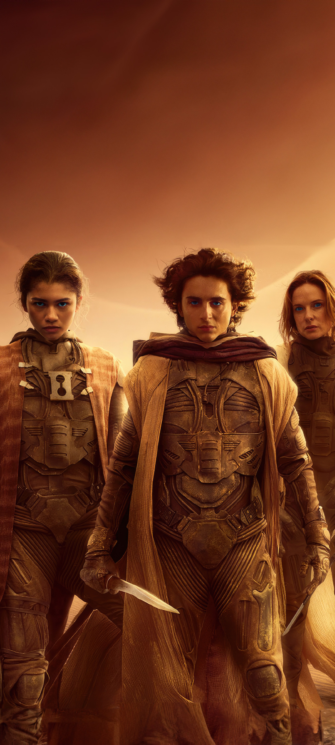 1080x2400 Dune Part Two Movie Google Pixel 7 ,HD 4k Wallpapers,Images ...