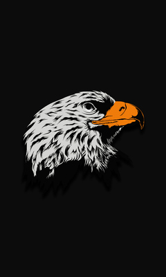 eagle-dark-illustration-8k-o1.jpg