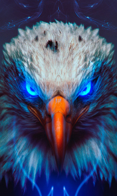 eagle-eye-dk.jpg