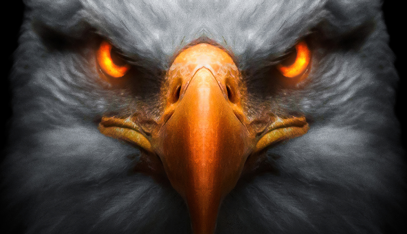 eagle-red-glowing-eyes-01.jpg