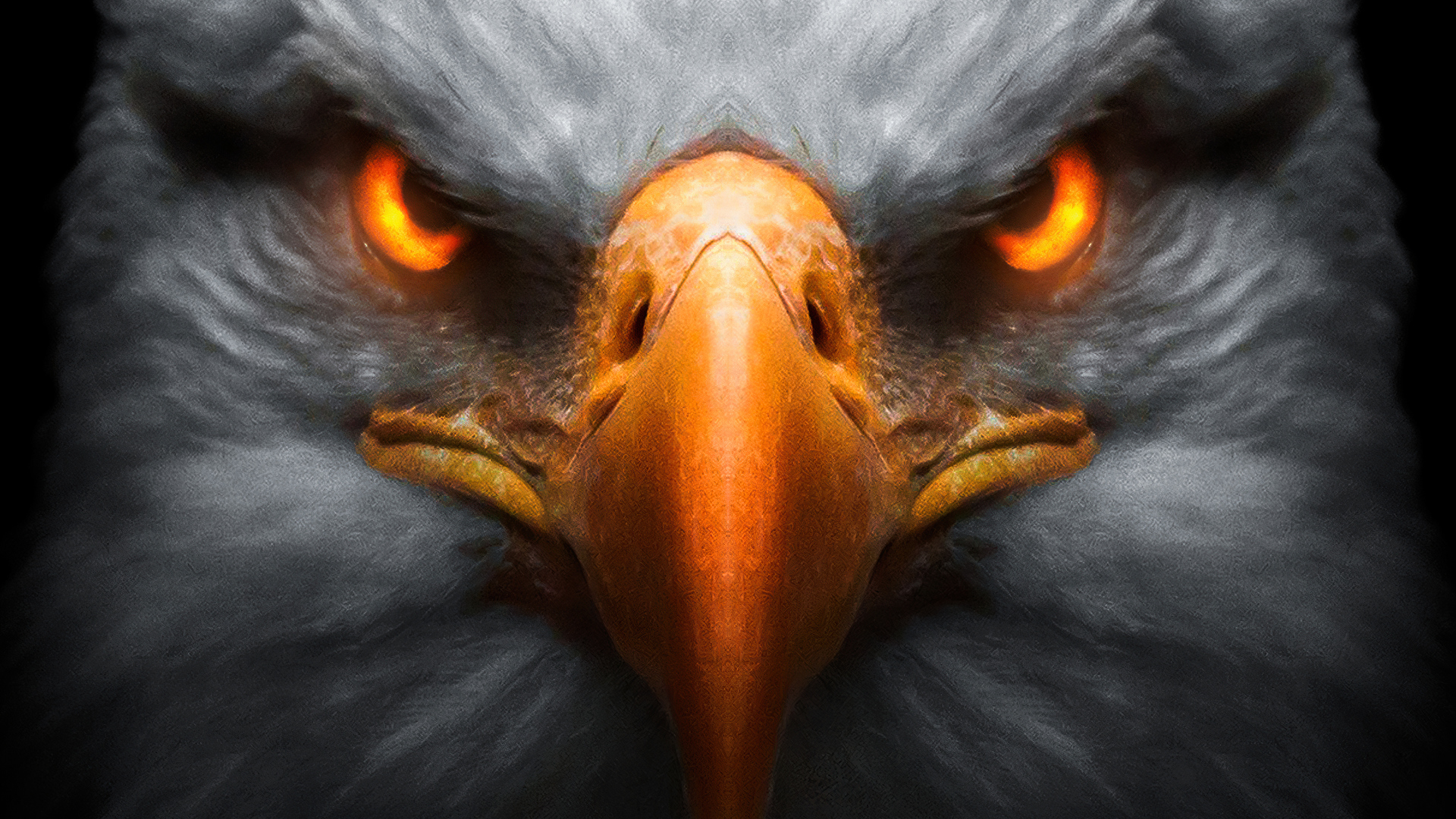 1920x1080 Eagle Red Glowing Eyes Laptop Full HD 1080P HD 4k Wallpapers,  Images, Backgrounds, Photos and Pictures