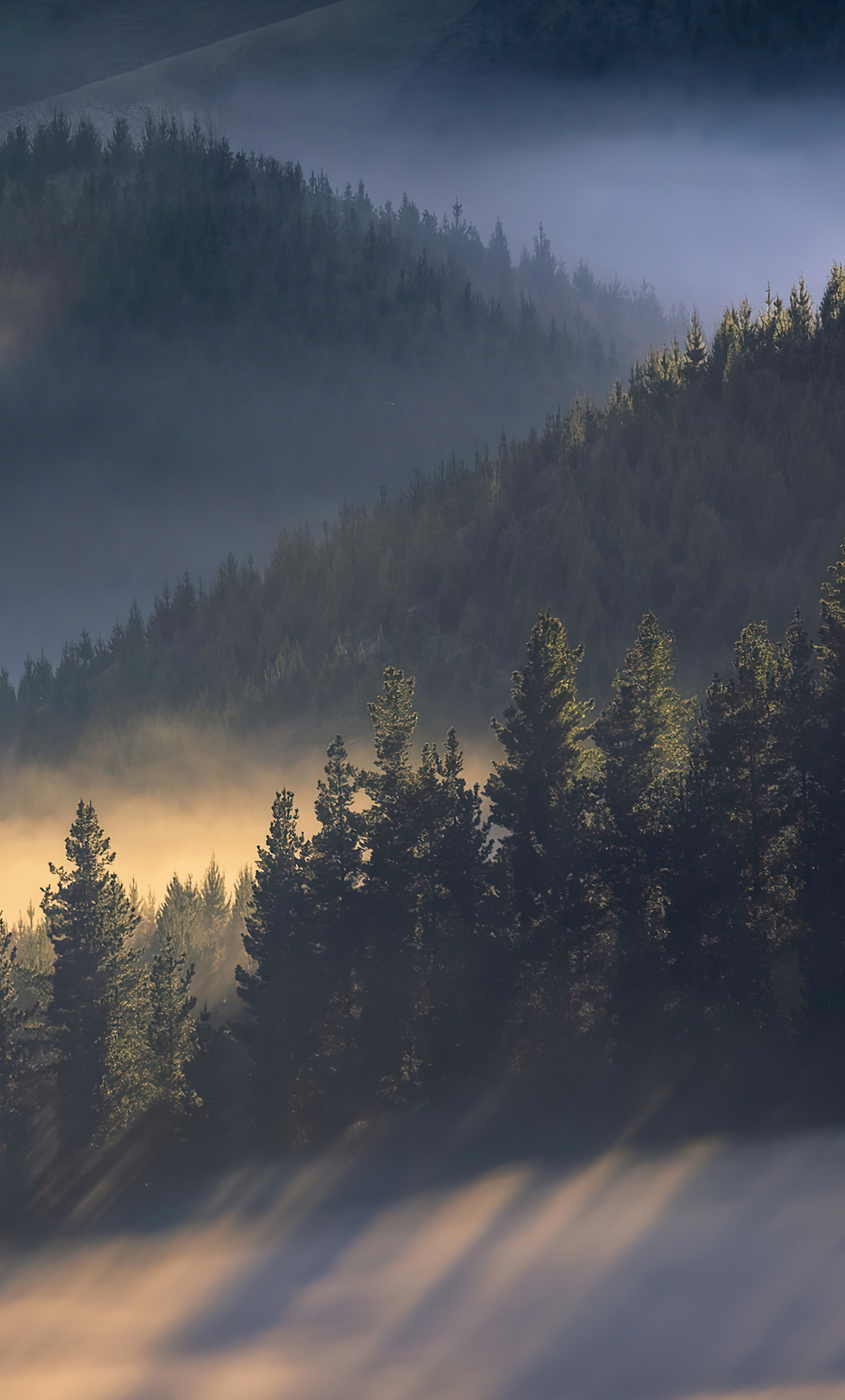 1280x2120 Early Morning Sun Rays Over Trees Mountains 4k iPhone 6+ HD 4k  Wallpapers, Images, Backgrounds, Photos and Pictures