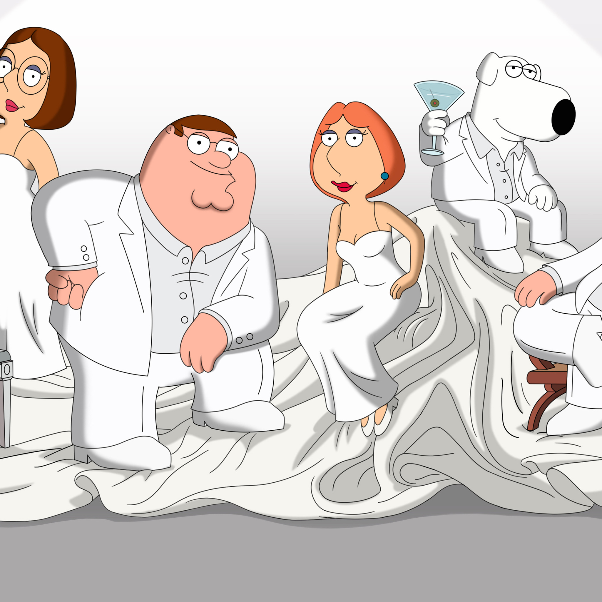 2048x2048 Family Guy Ipad Air HD 4k Wallpapers, Images, Back