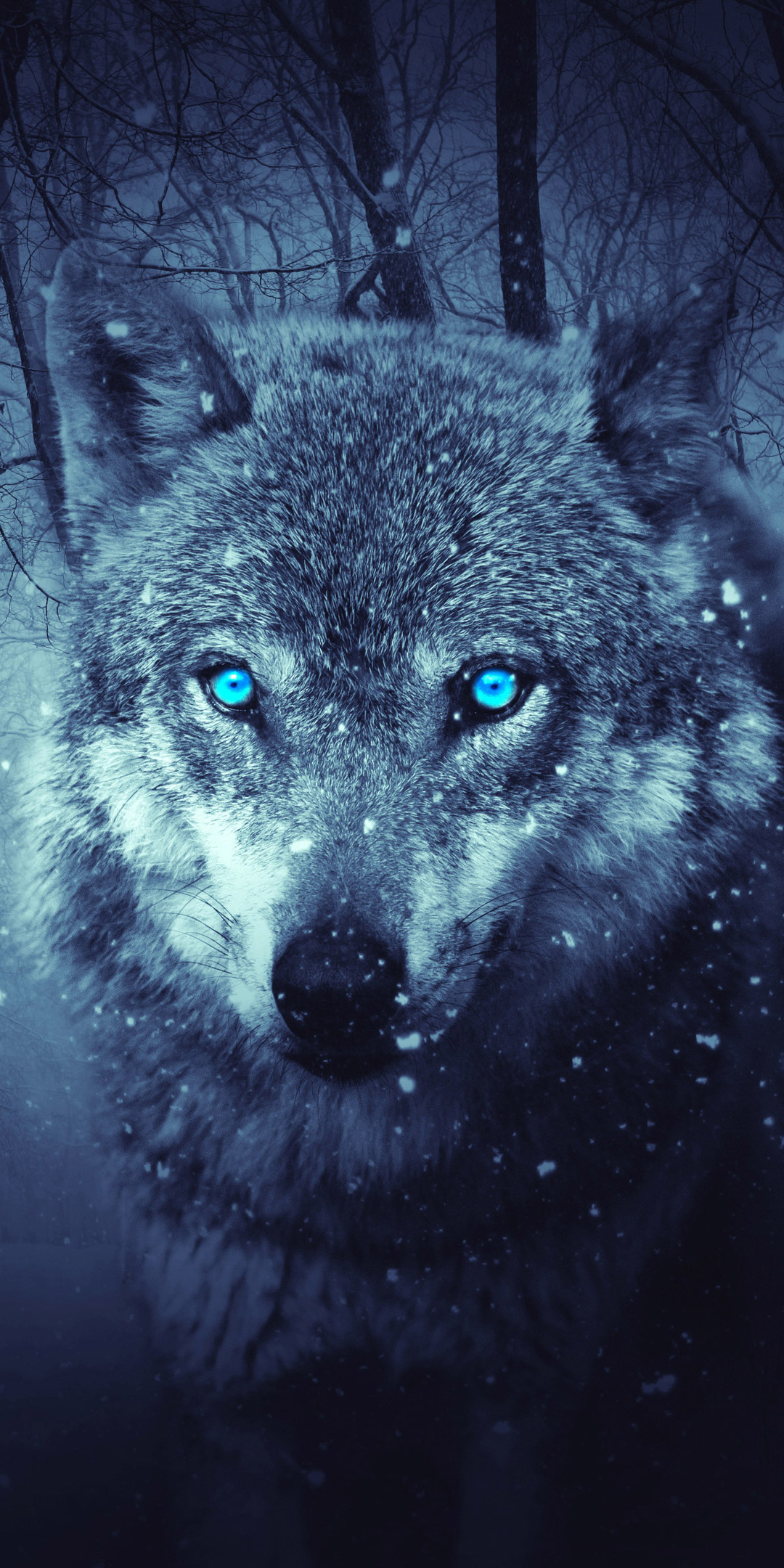 fantasy-wolf-5k-ap.jpg