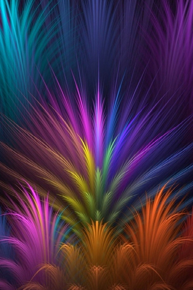 feathers-colorful-petals-to.jpg
