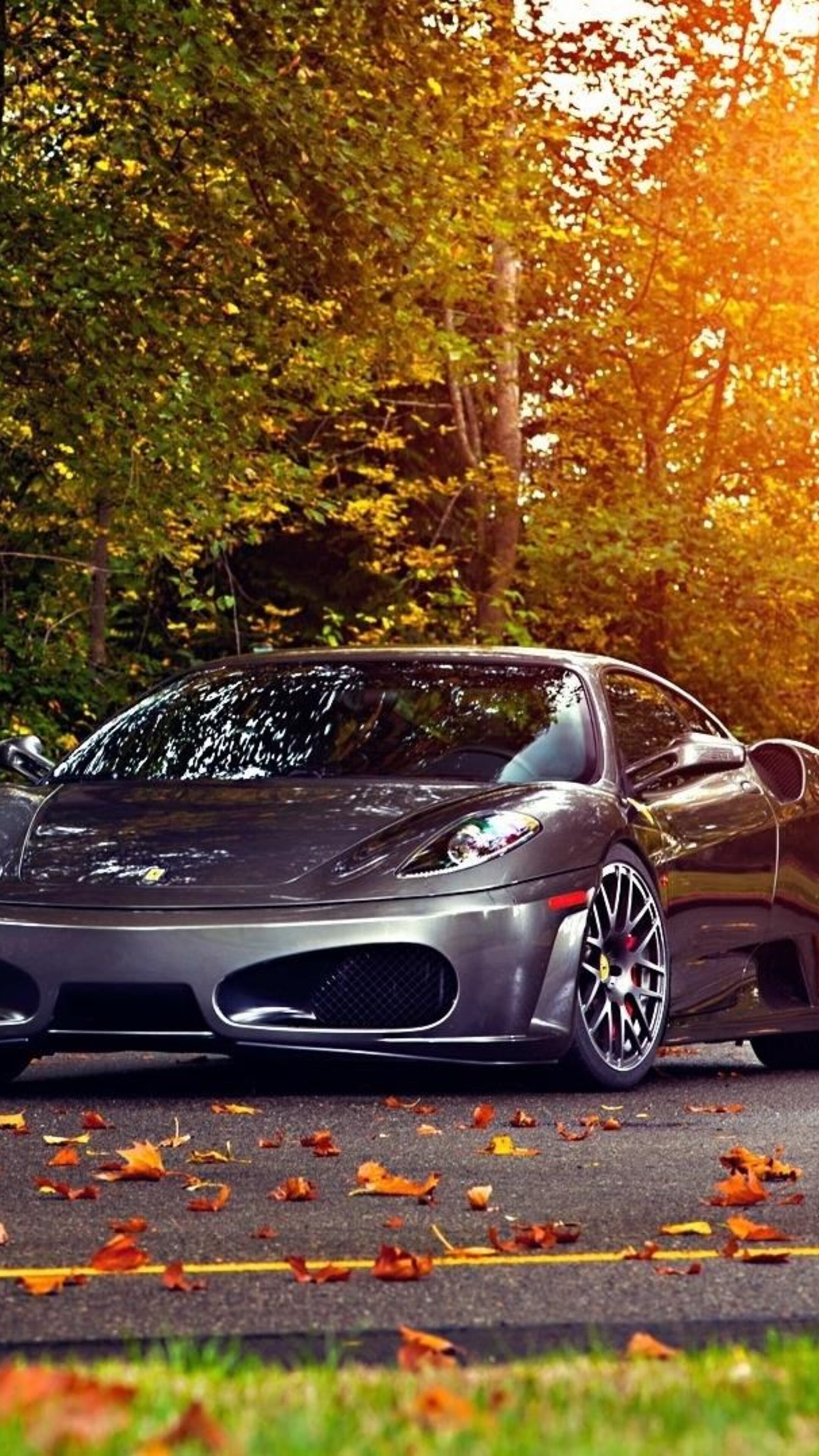 Фото машин вертикально. Ferrari f430. Ferrari f430 Scuderia. Красивые машины. Машина осень.