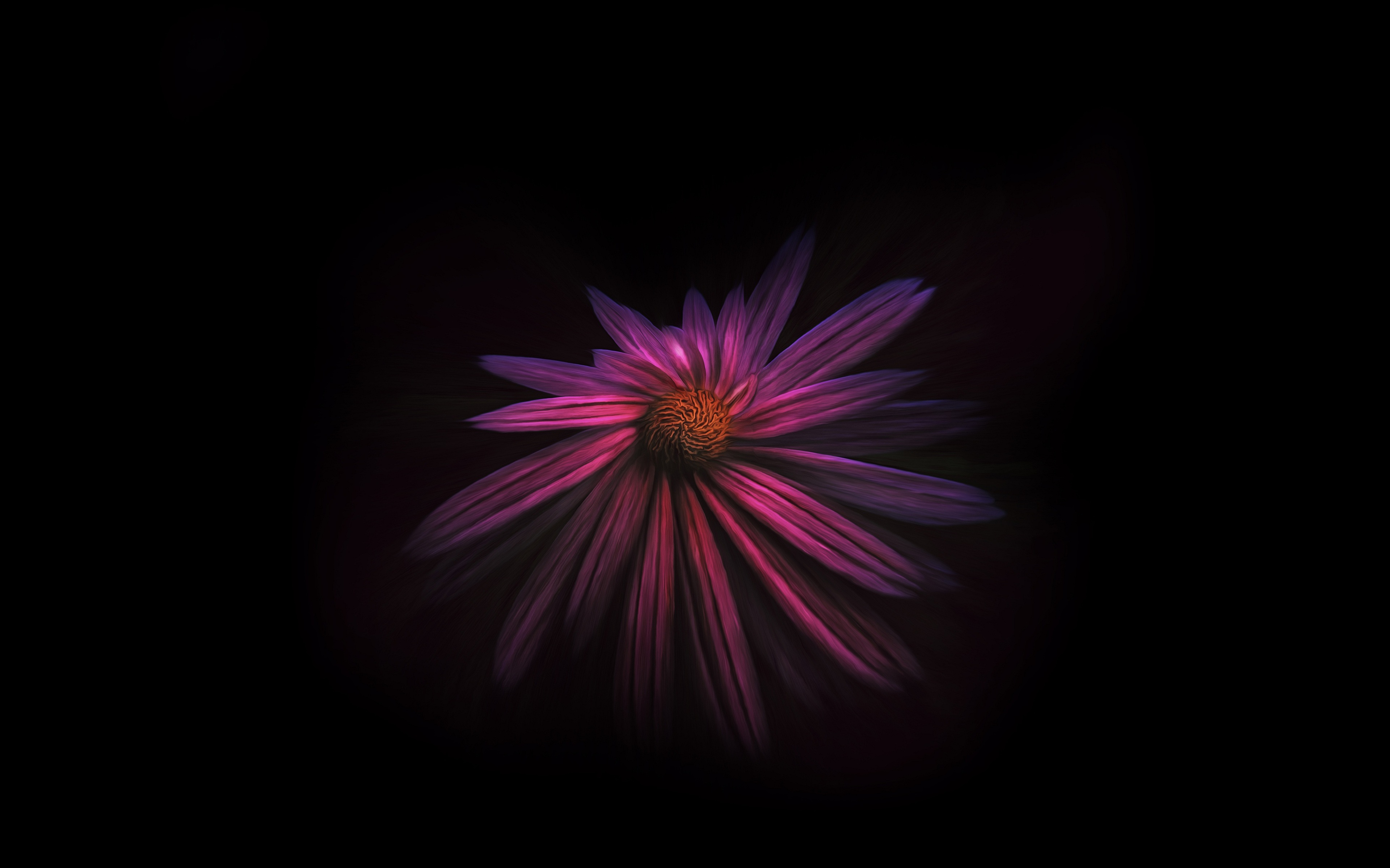 flower-dark-background-4k-xx.jpg