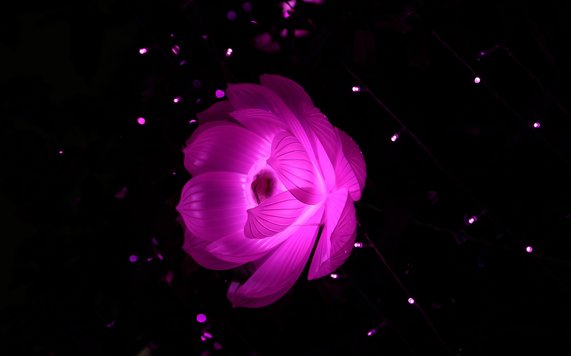flower-shape-artistic-light-kw.jpg