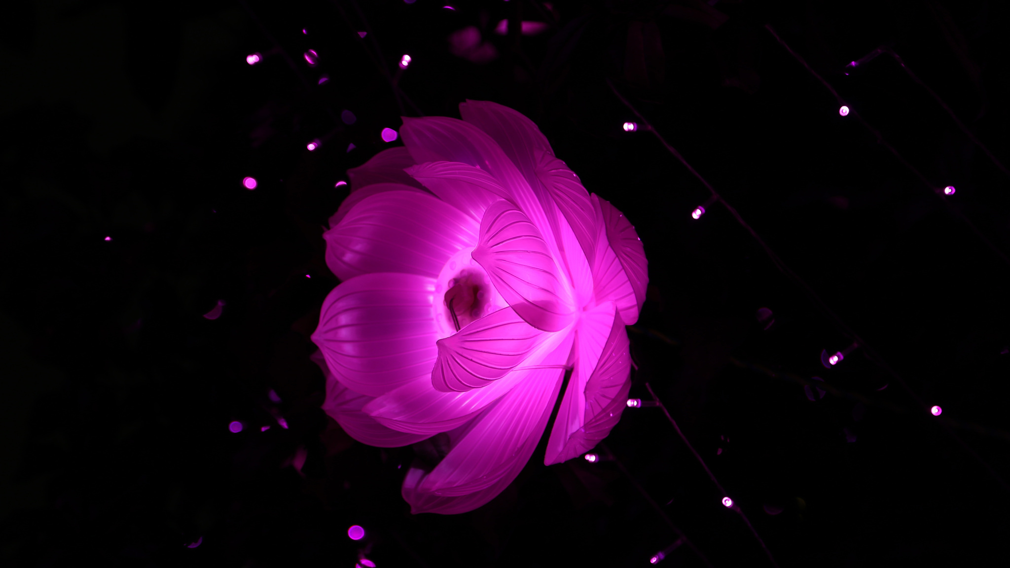flower-shape-artistic-light-kw.jpg