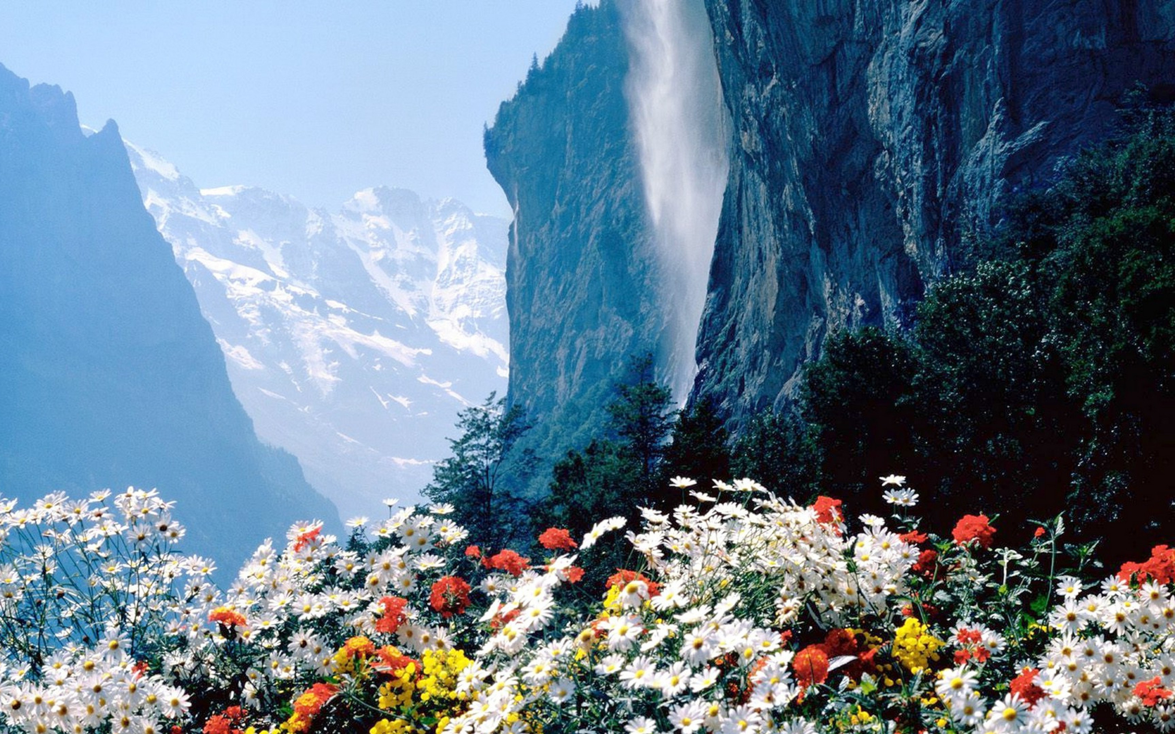 unicorn on a cliff overlooking waterfall background unicorn on a cliff overlooking waterfall background