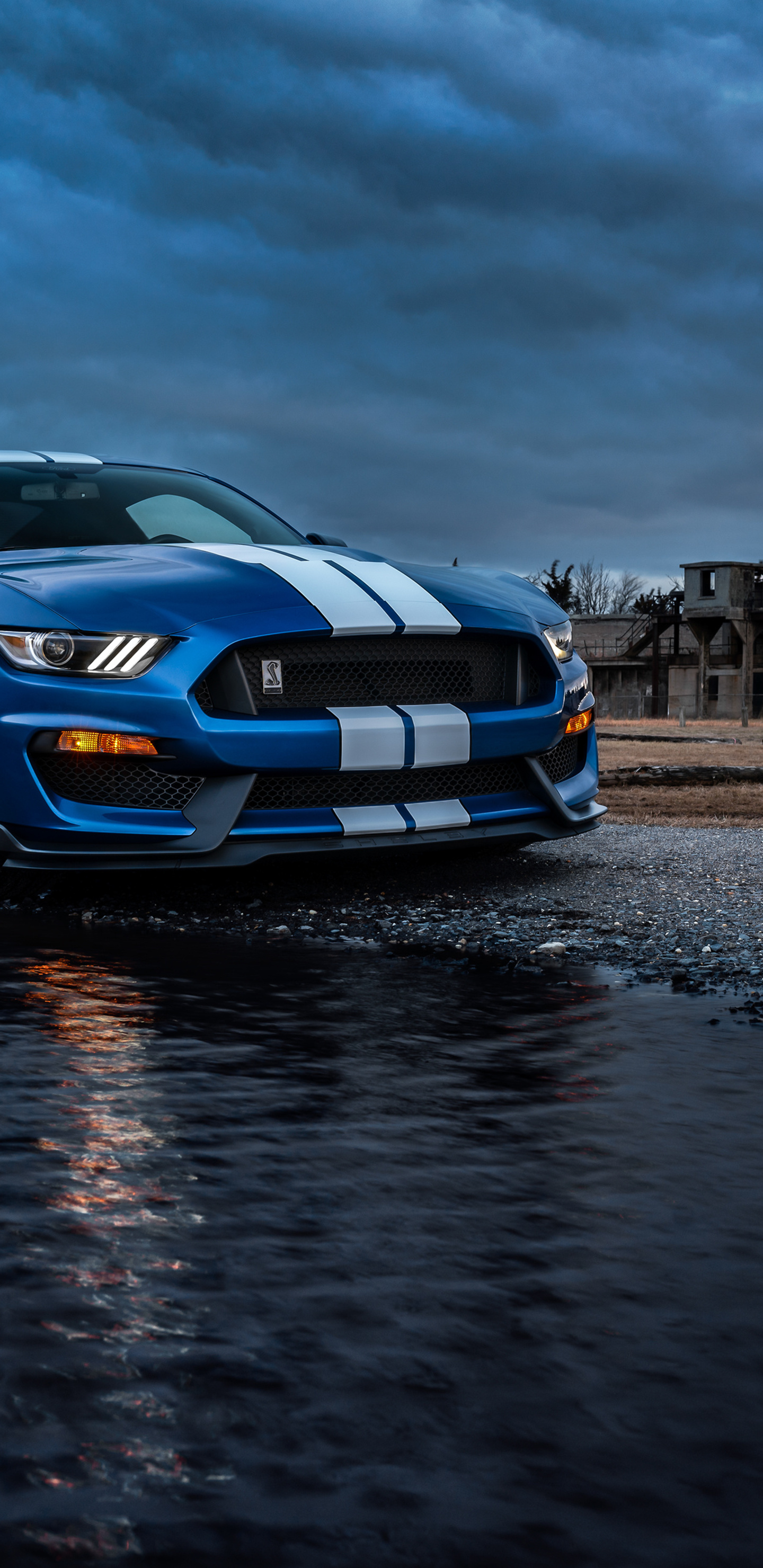 1440x2960 Ford Mustang Shelby Gt500 River Samsung Galaxy Note 9,8,  S9,S8,S8+ QHD HD 4k Wallpapers, Images, Backgrounds, Photos and Pictures