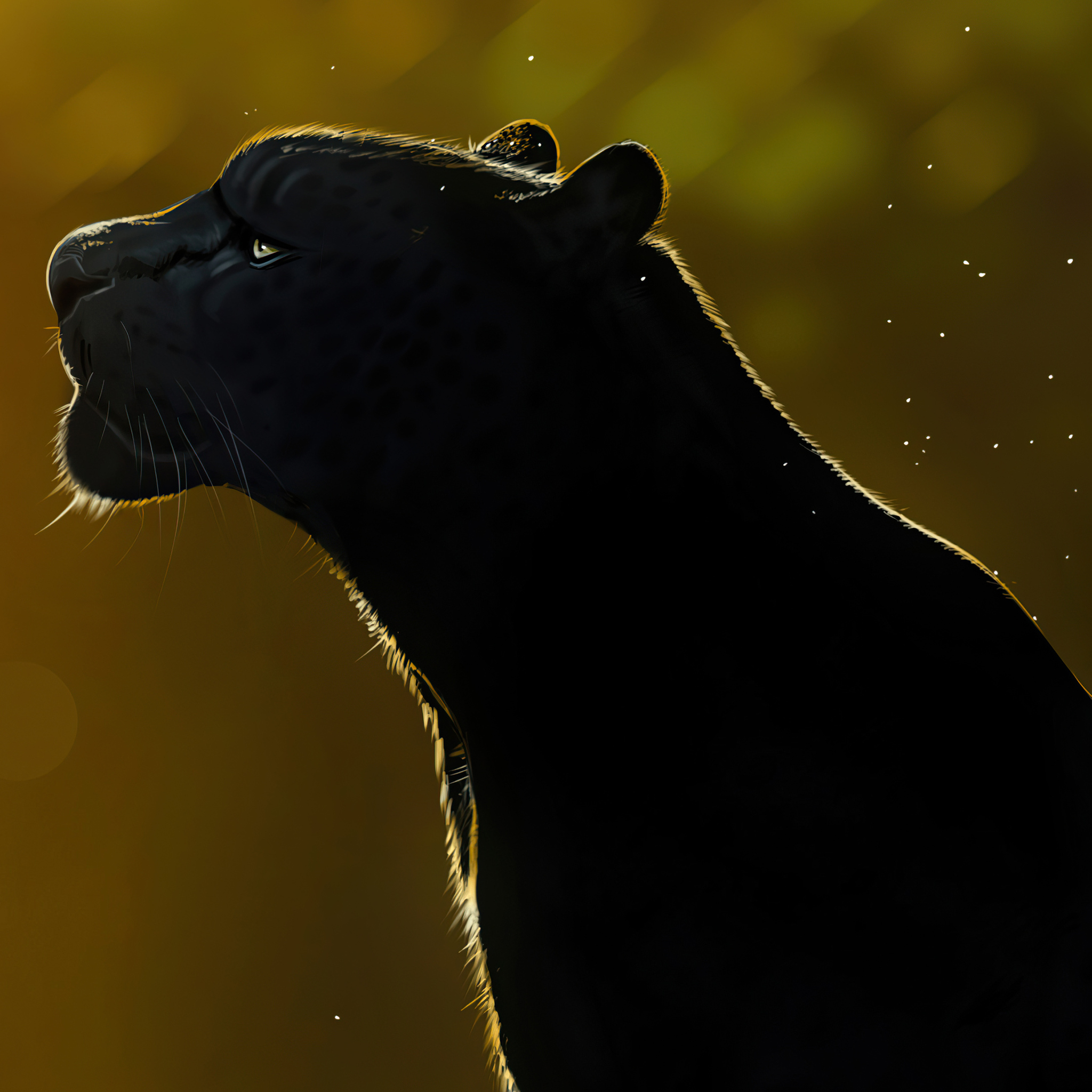 Black Panther - Animals Wallpaper (13128444) - Fanpop