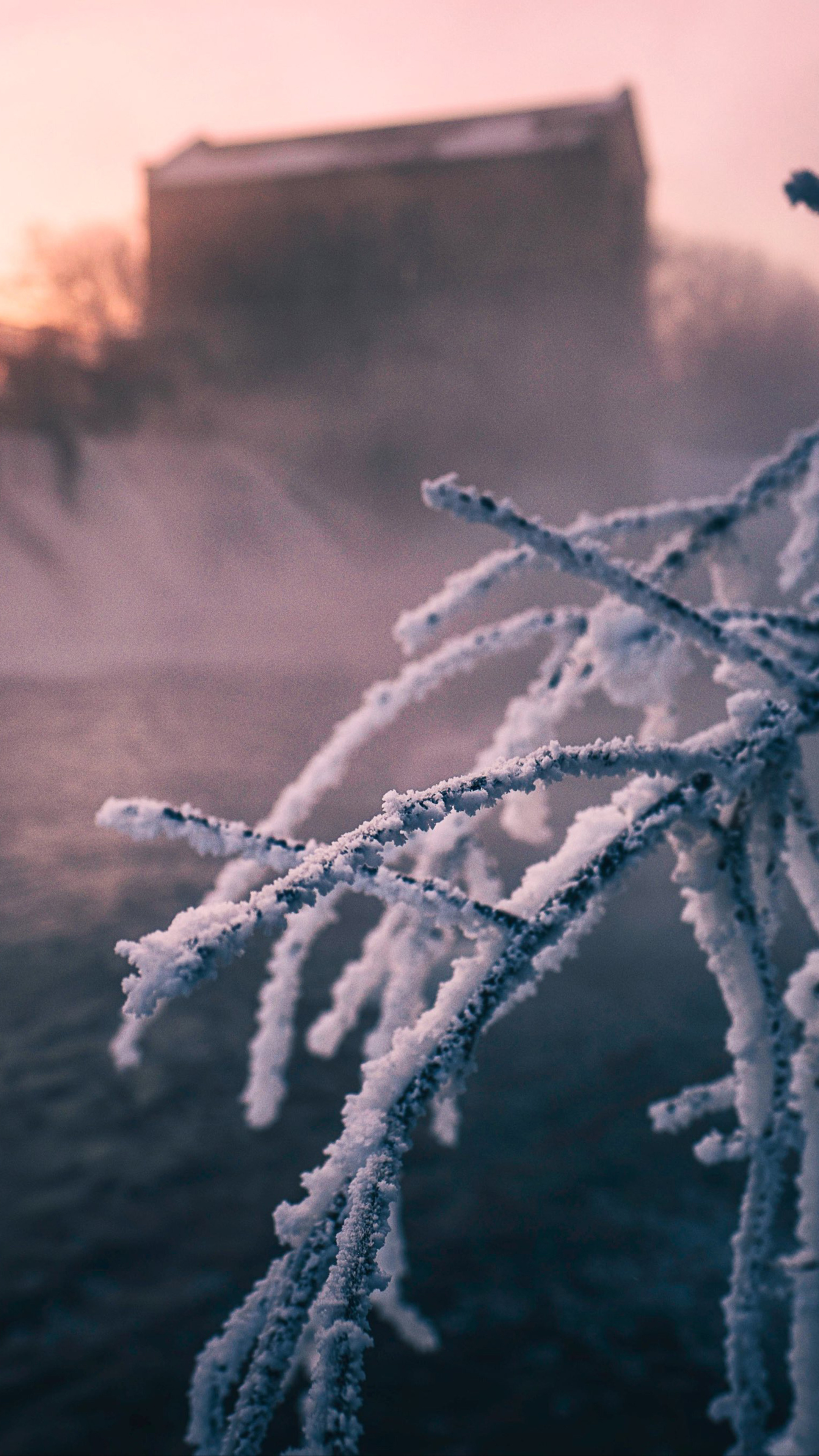 frozen-winter-4k-1f.jpg