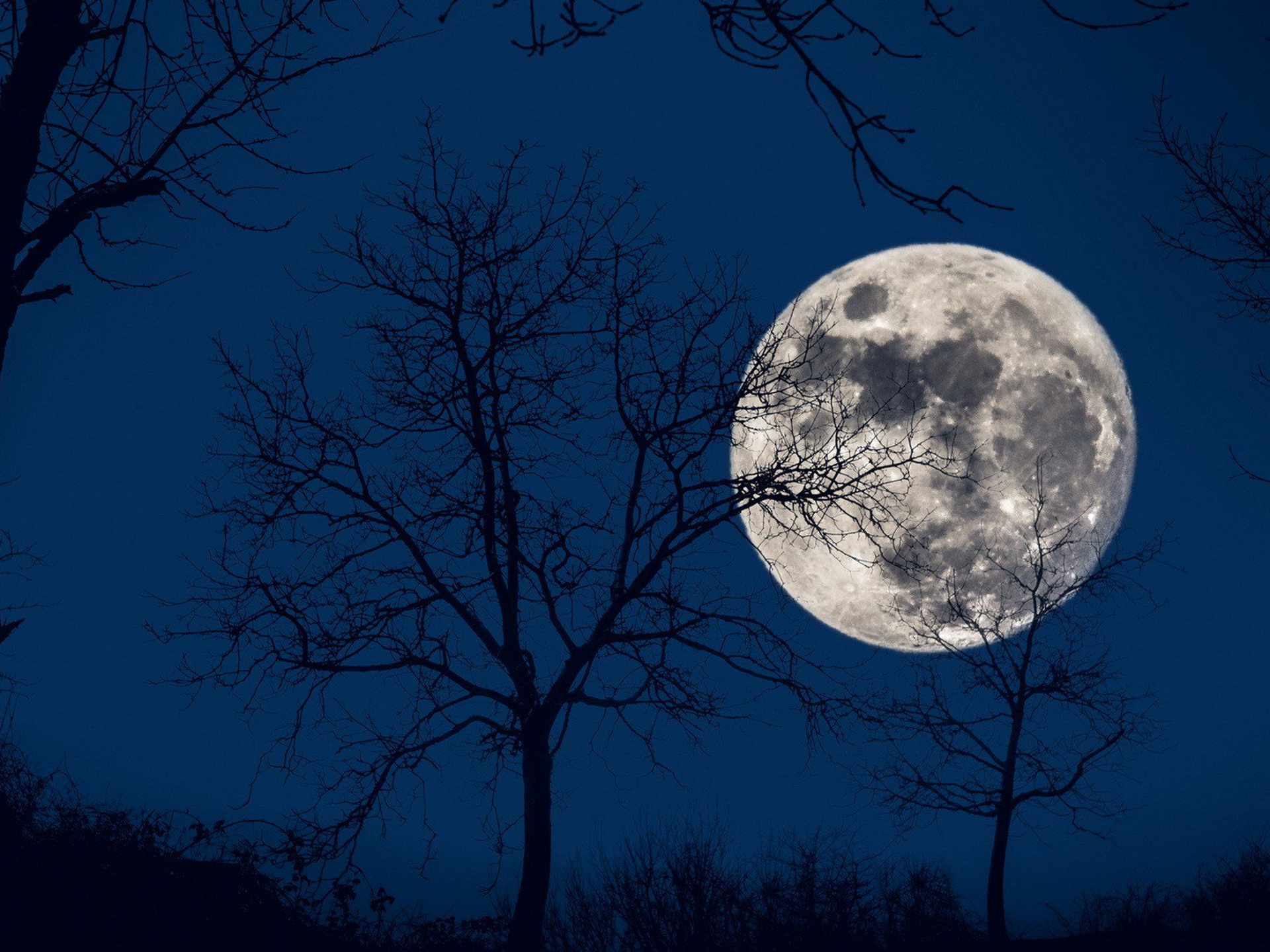 1920x1440 Full Moon 1920x1440 Resolution HD 4k Wallpapers, Images ...