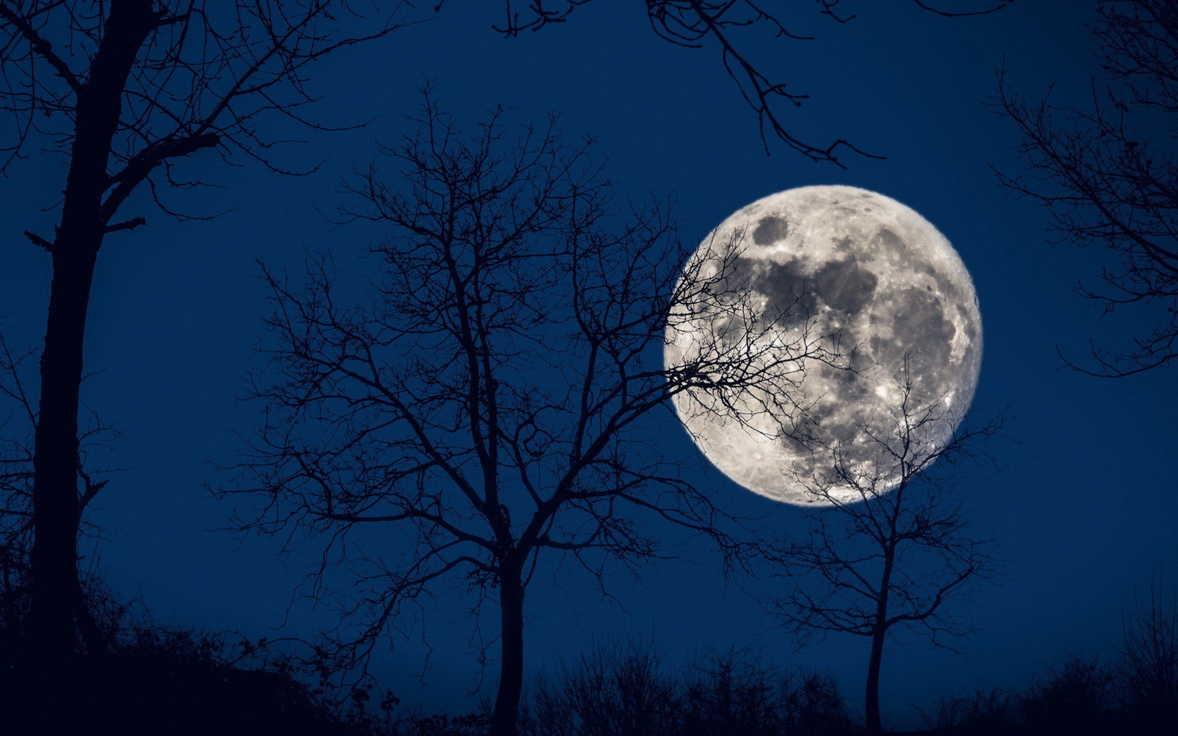 3840x2400 Full Moon 4K ,HD 4k Wallpapers,Images,Backgrounds,Photos and ...