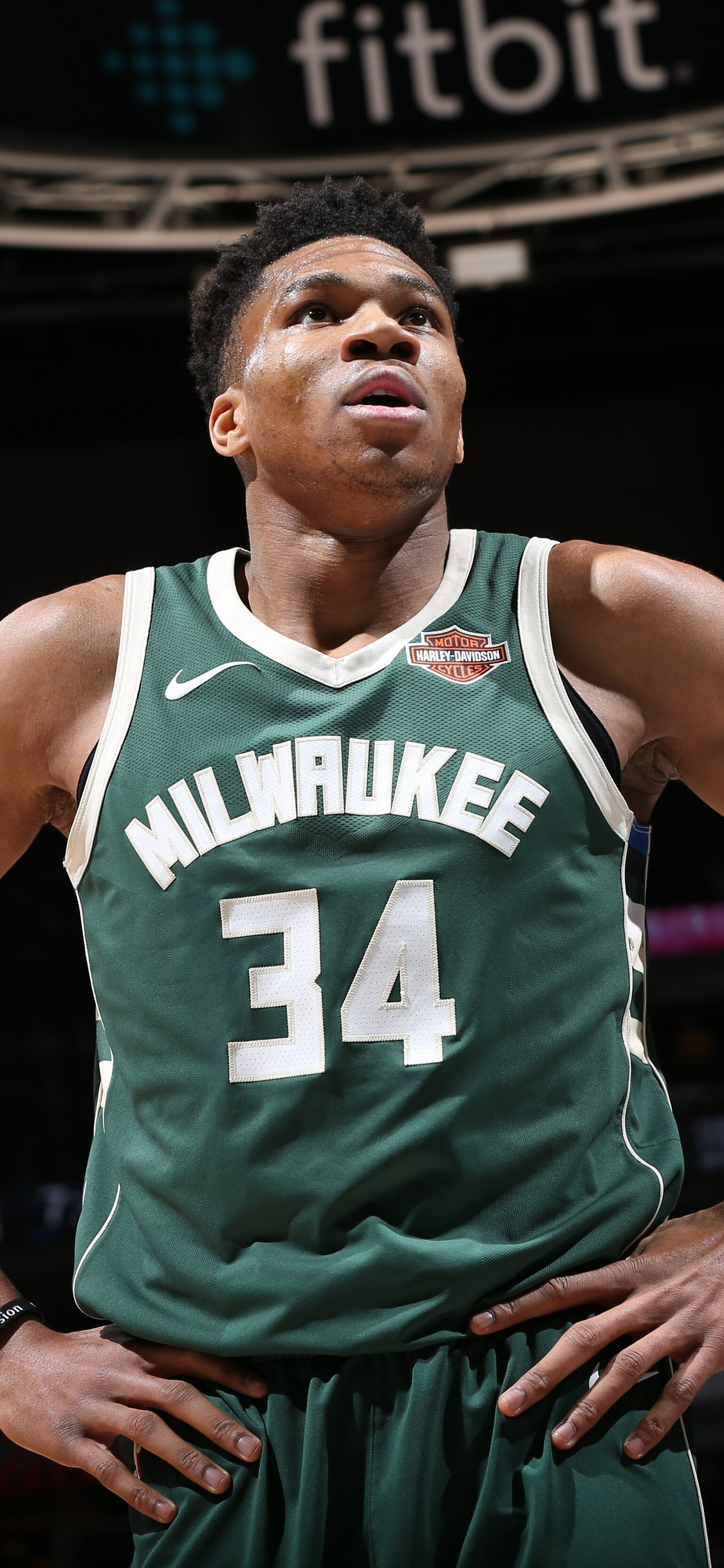 Best Giannis antetokounmpo iPhone HD Wallpapers  iLikeWallpaper