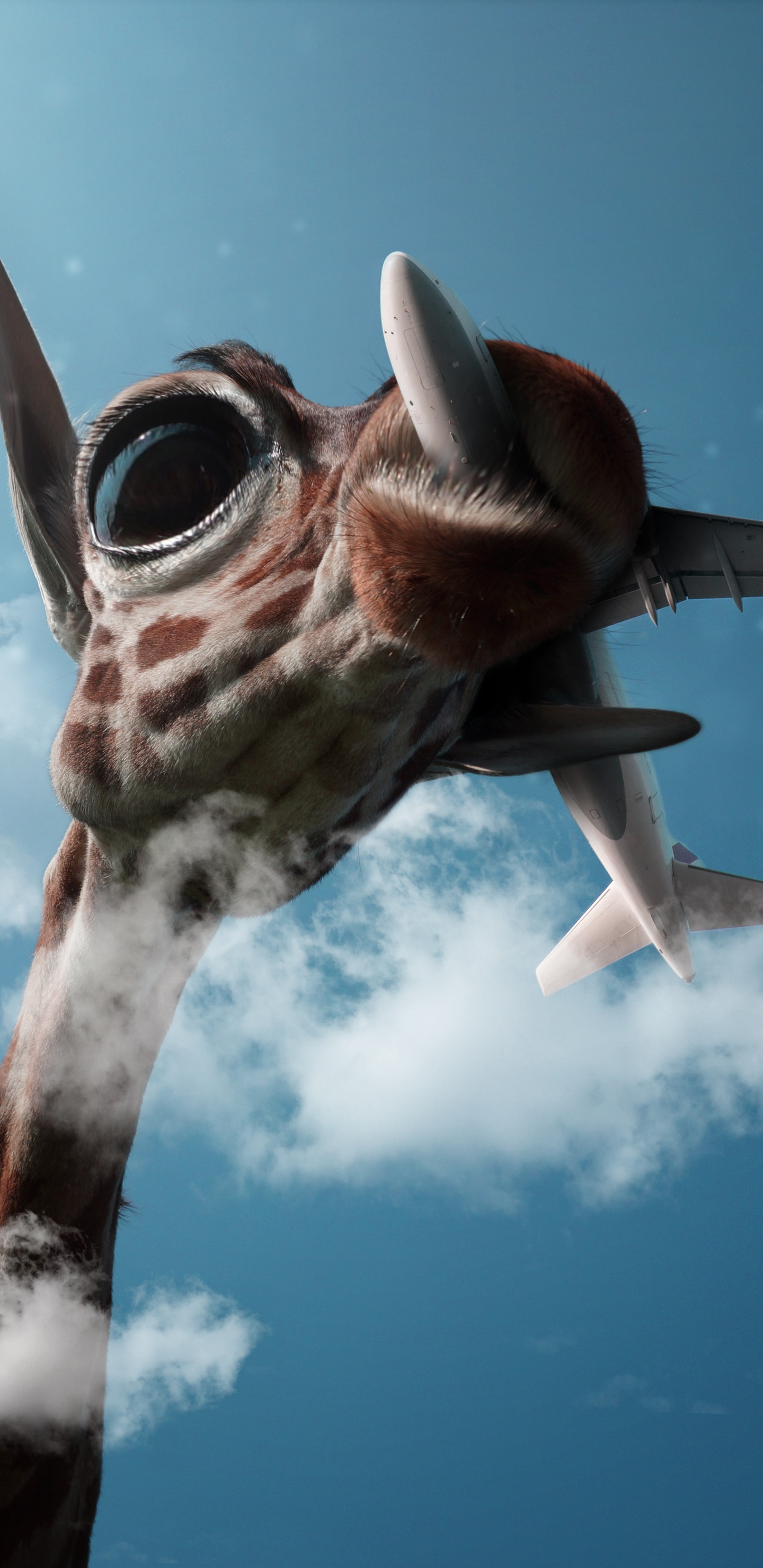 1440x2960 Giraffe Passing Plane Samsung Galaxy Note 9,8, S9,S8,S8+ QHD