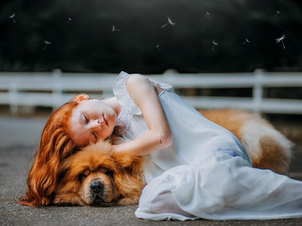Girl And Dog Sleeping 5k Wallpaper In 1024x768 Resolution