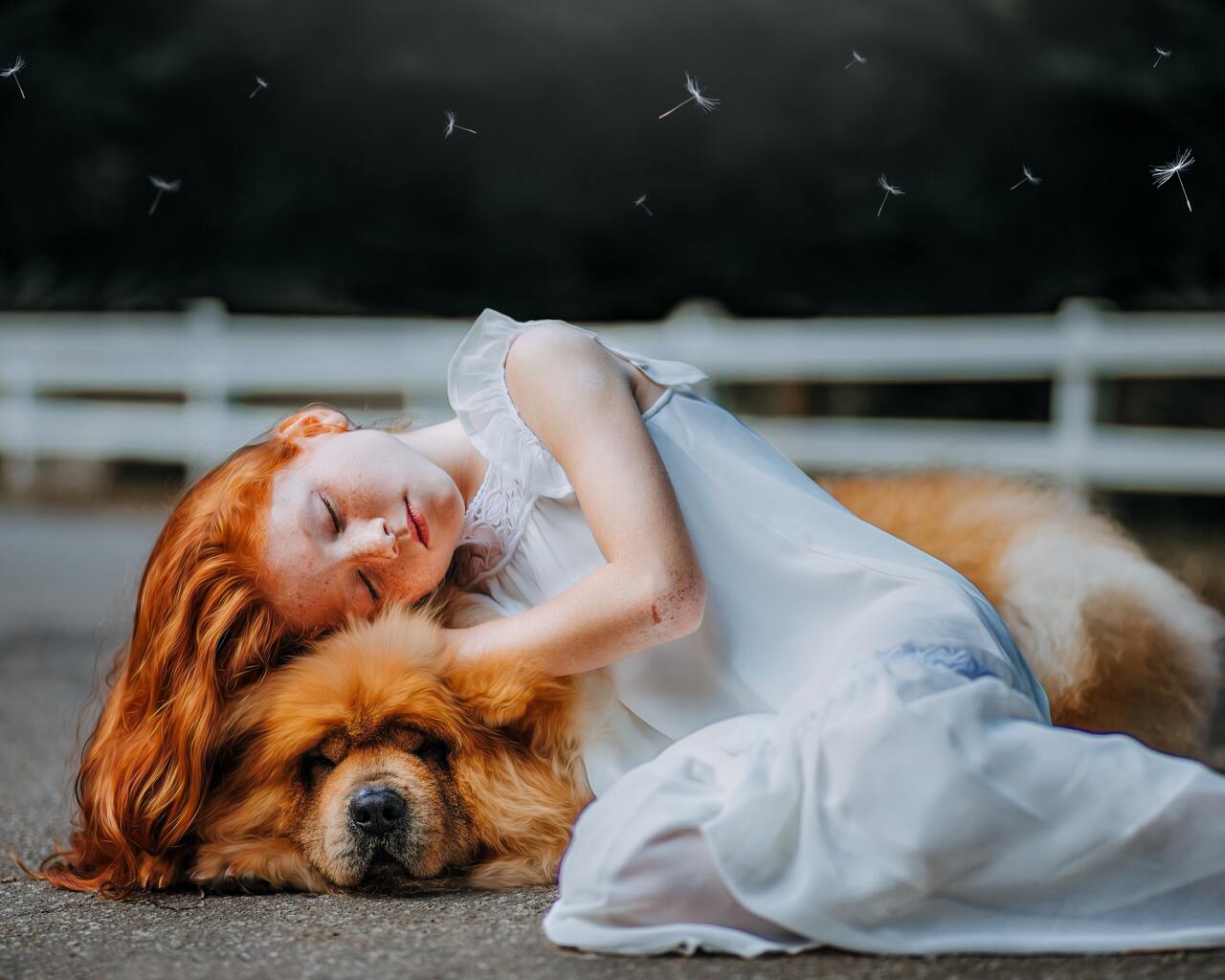 Girl And Dog Sleeping 5k Wallpaper In 1280x1024 Resolution