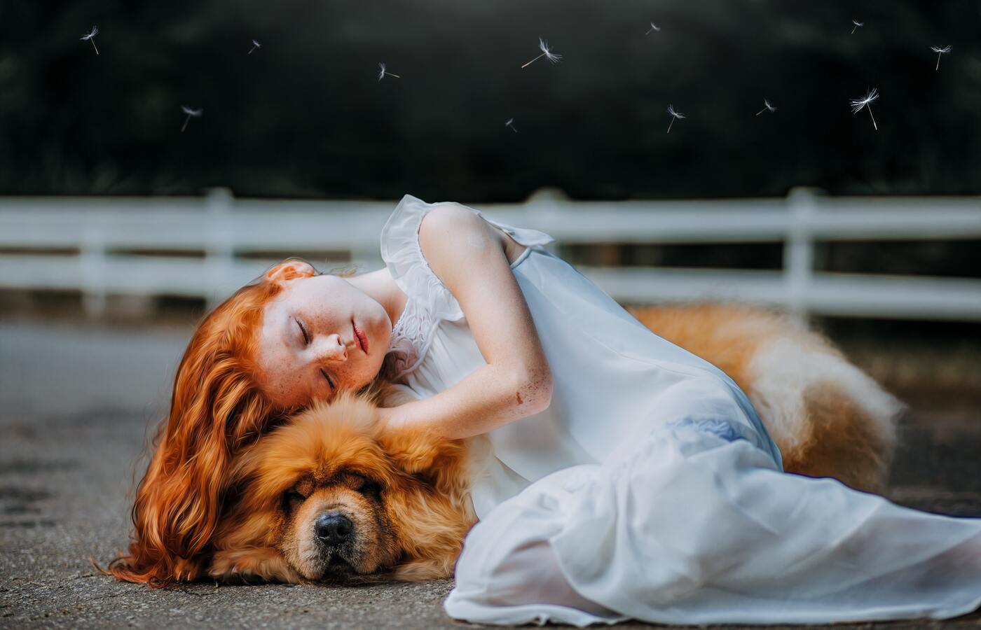 Girl And Dog Sleeping 5k Wallpaper In 1400x900 Resolution