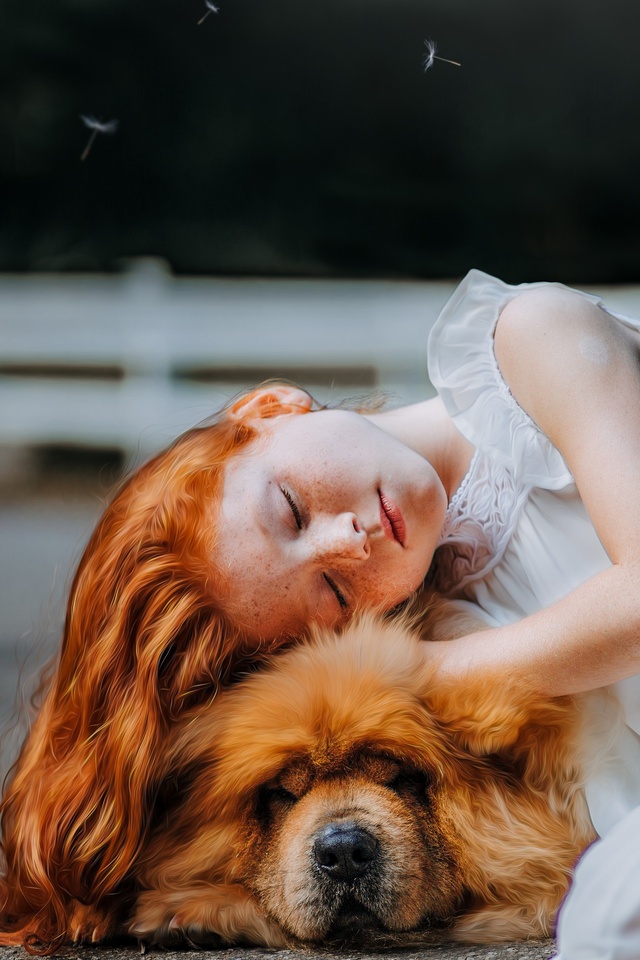 Girl And Dog Sleeping 5k Wallpaper In 640x960 Resolution