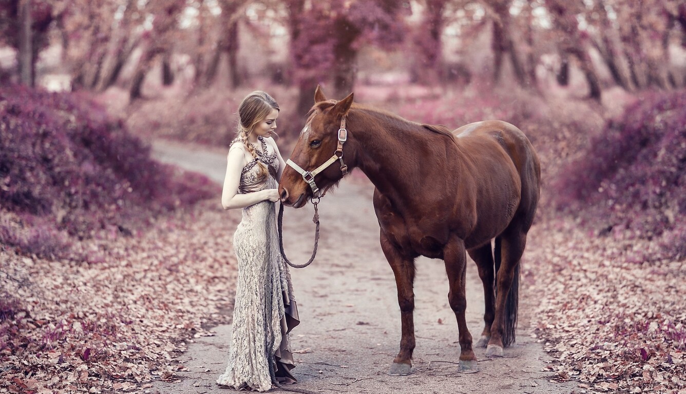 girl-with-horse-image.jpg
