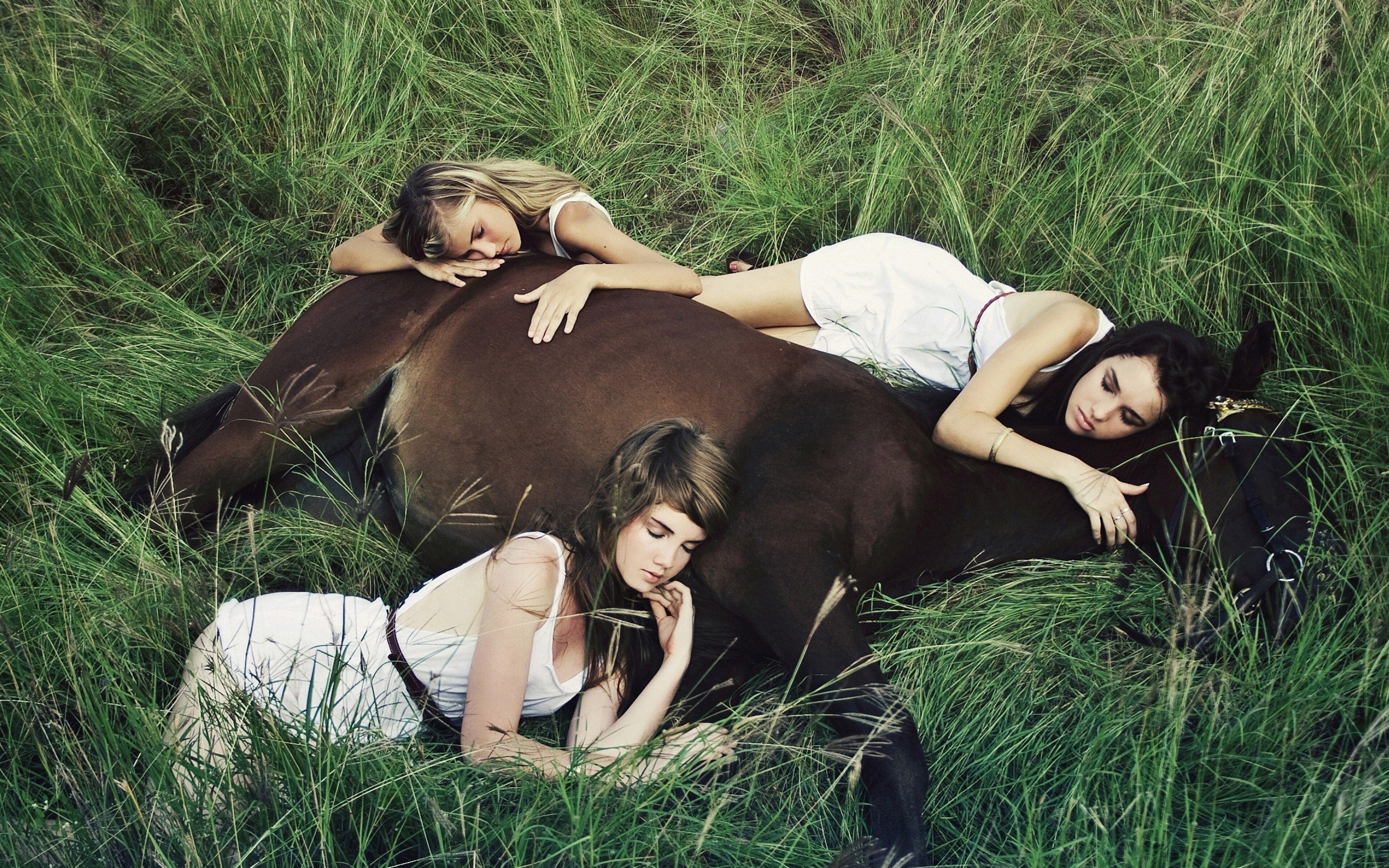 Девка на троих. Две девушки на лошадях. Парень и девушка лежат на траве. Девушка лежит на траве. Девушка и несколько лошадей.
