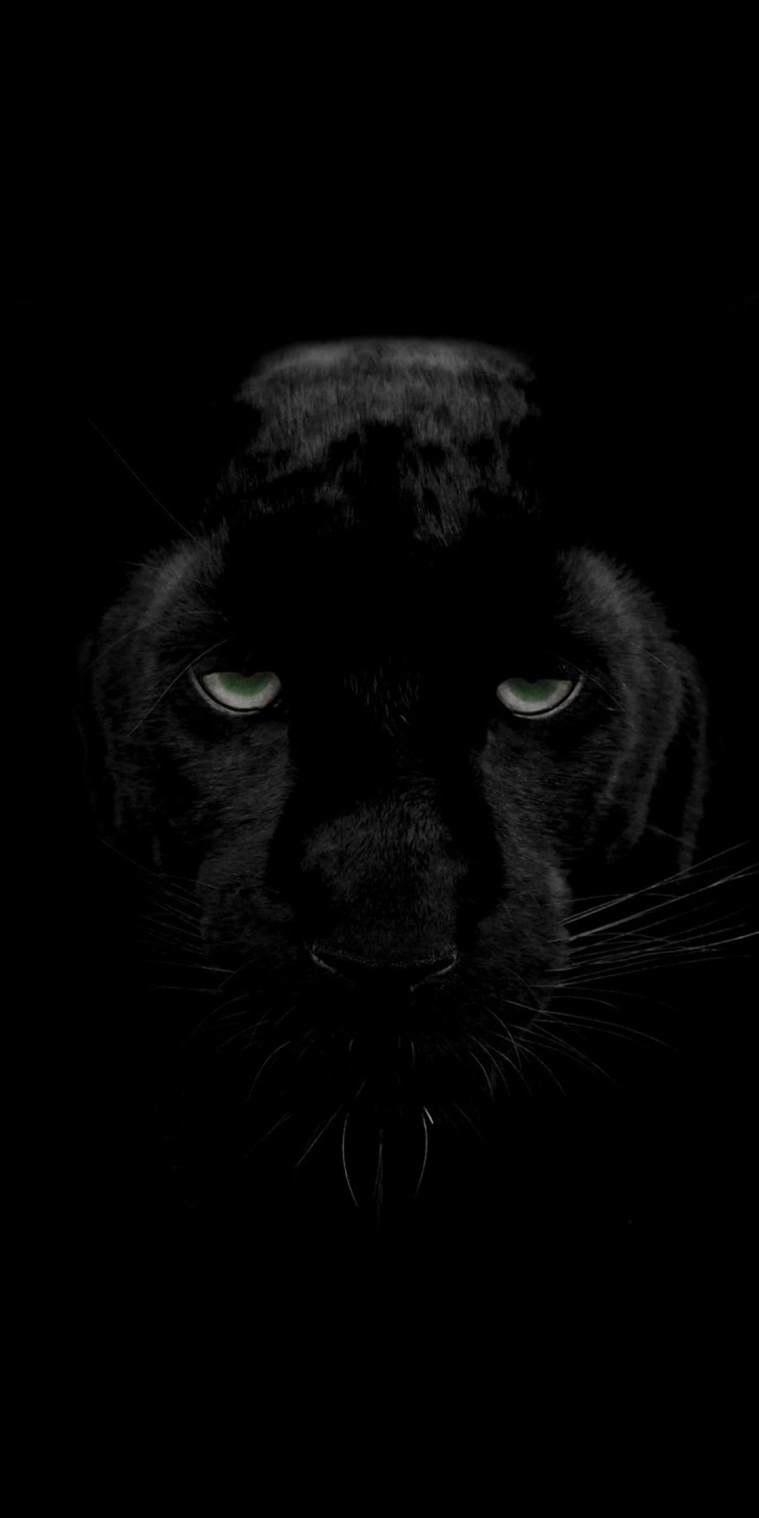 1080x2160 Green Eyes Black Panther One Plus 5T,Honor 7x,Honor view 10,Lg Q6  HD 4k Wallpapers, Images, Backgrounds, Photos and Pictures