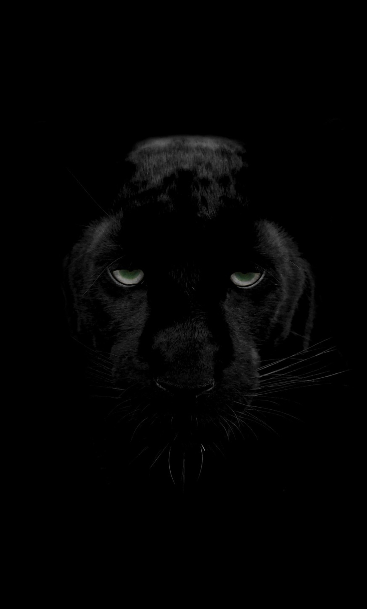 1280x2120 Green Eyes Black Panther iPhone 6+ ,HD 4k Wallpapers