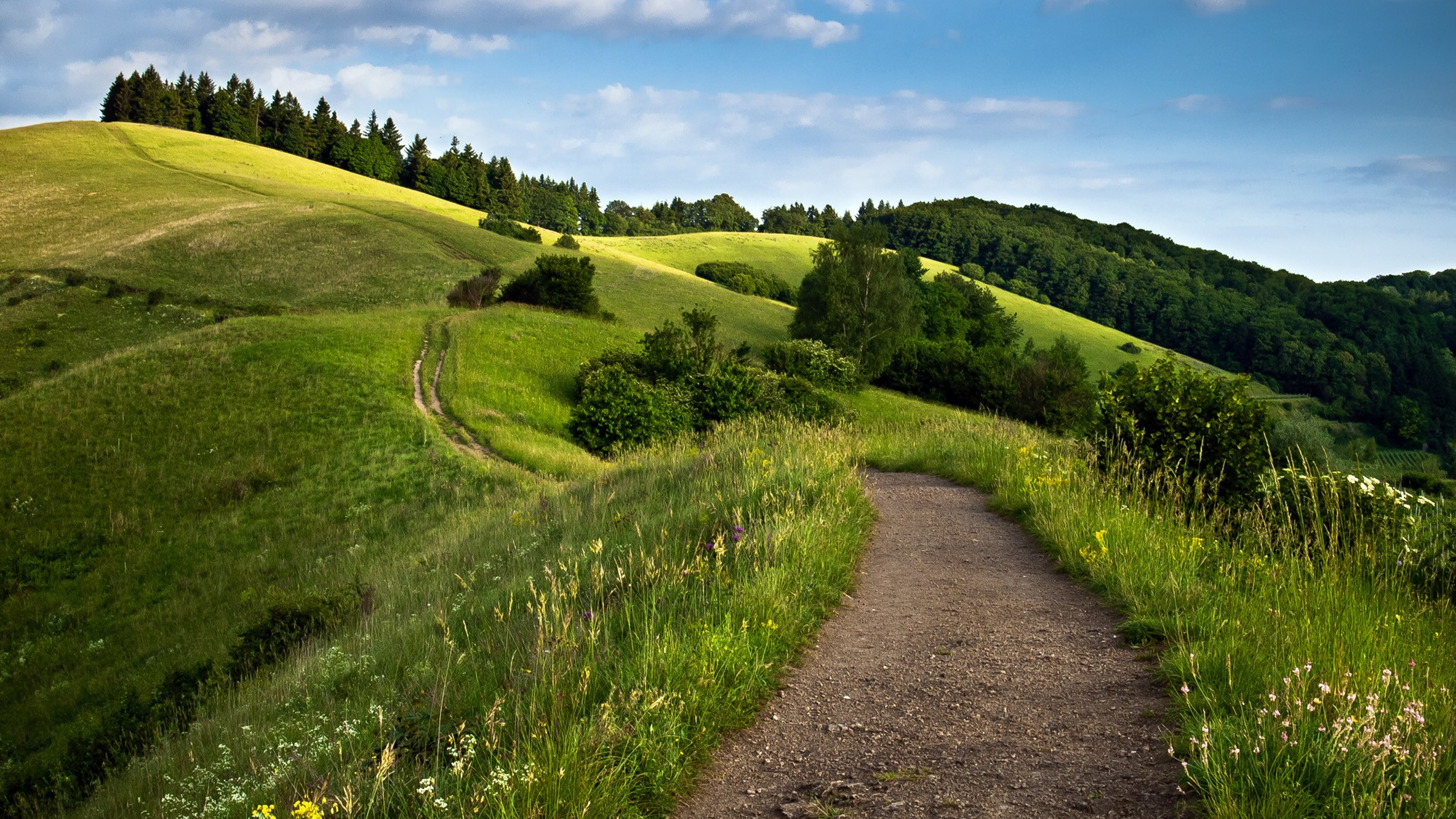 2560x1440 Green Fields 1440P Resolution ,HD 4k Wallpapers,Images ...