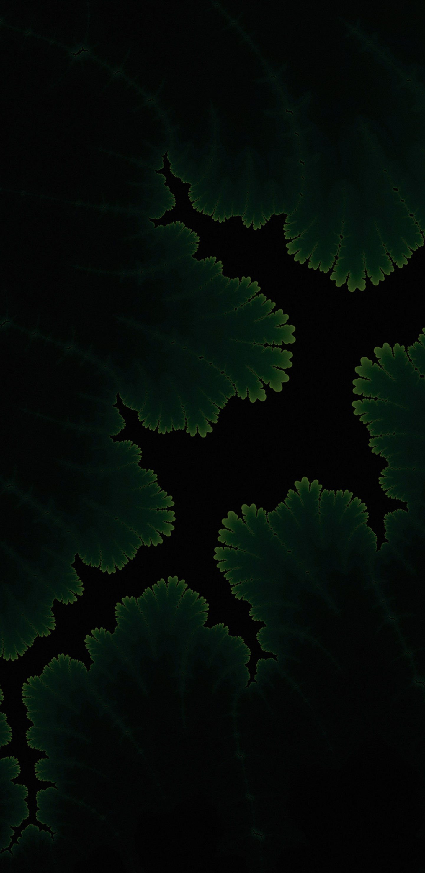 1440x2960 Green Plants Dark Amoled Samsung Galaxy Note 9,8, S9,S8,S8+ QHD  HD 4k Wallpapers, Images, Backgrounds, Photos and Pictures