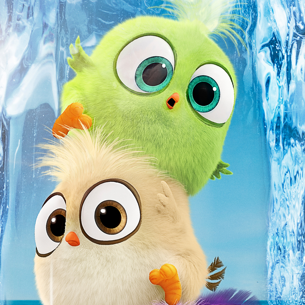 1024x1024 Hatchlings In The Angry Birds Movie 2 1024x1024 Resolution HD ...