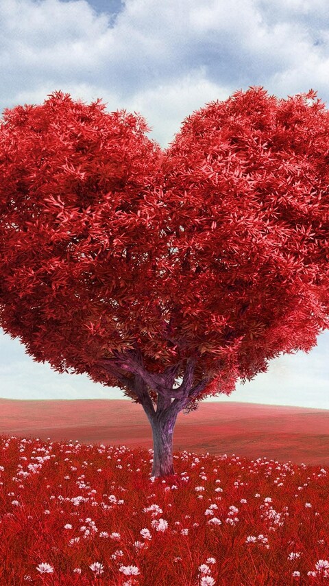 heart-tree.jpg