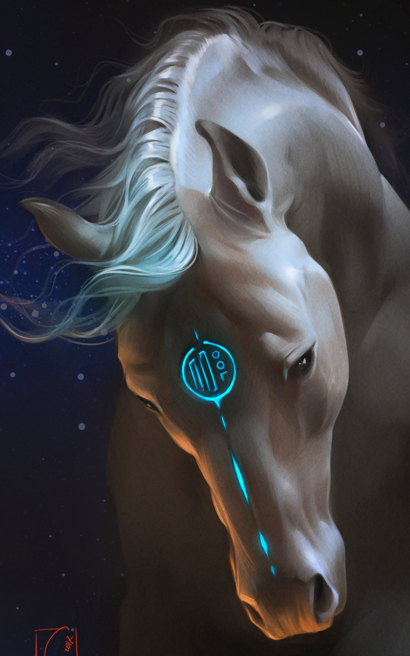 800x1280 Horse Fantasy Nexus 7,Samsung Galaxy Tab 10,Note Android Tablets  HD 4k Wallpapers, Images, Backgrounds, Photos and Pictures