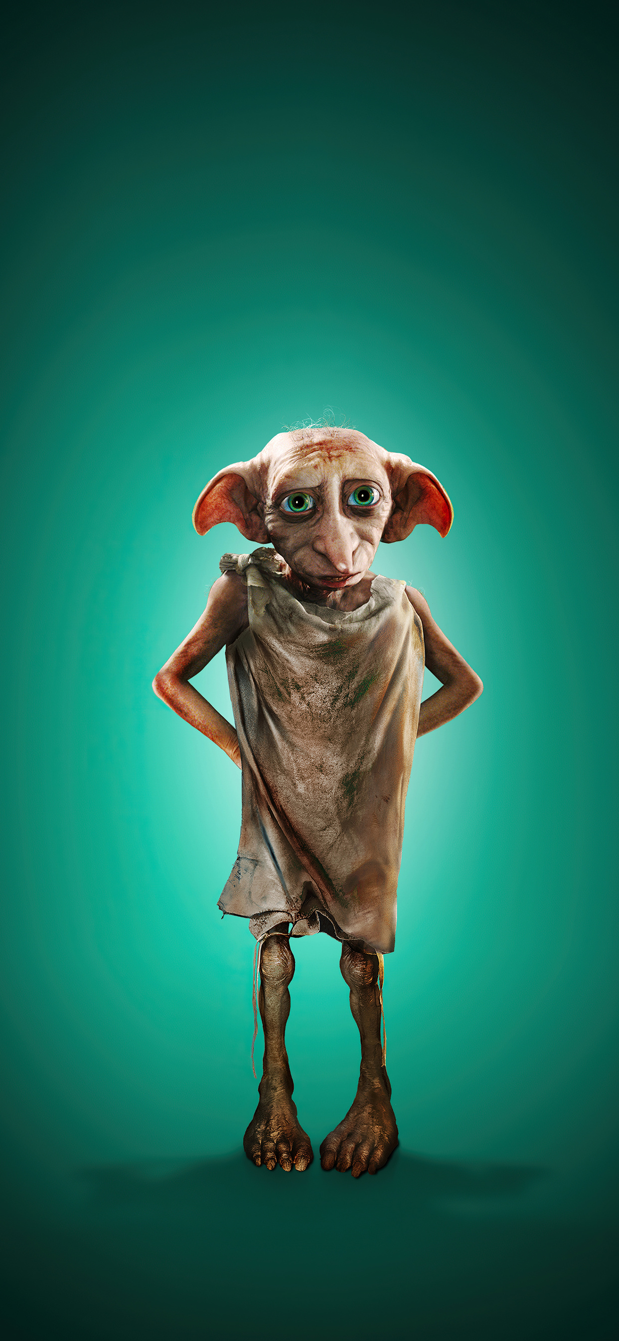 Dobby Sad